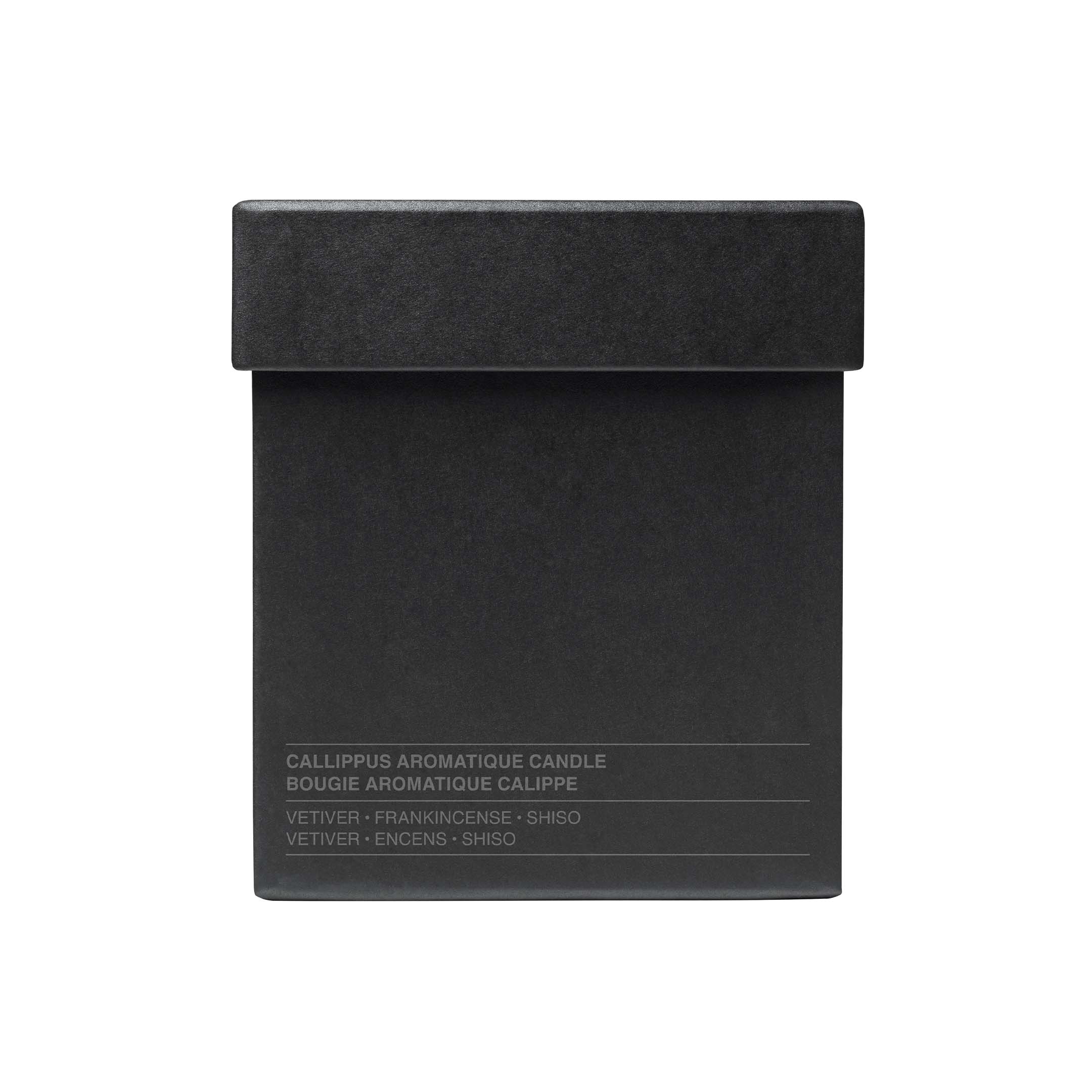 Aesop Candle Callippus - Image 3