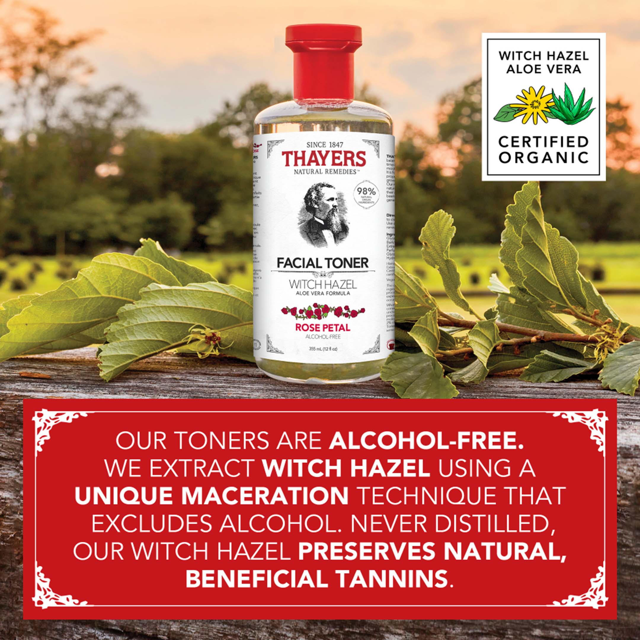 Alcohol Free Witch Hazel Toner Rose - Image 14