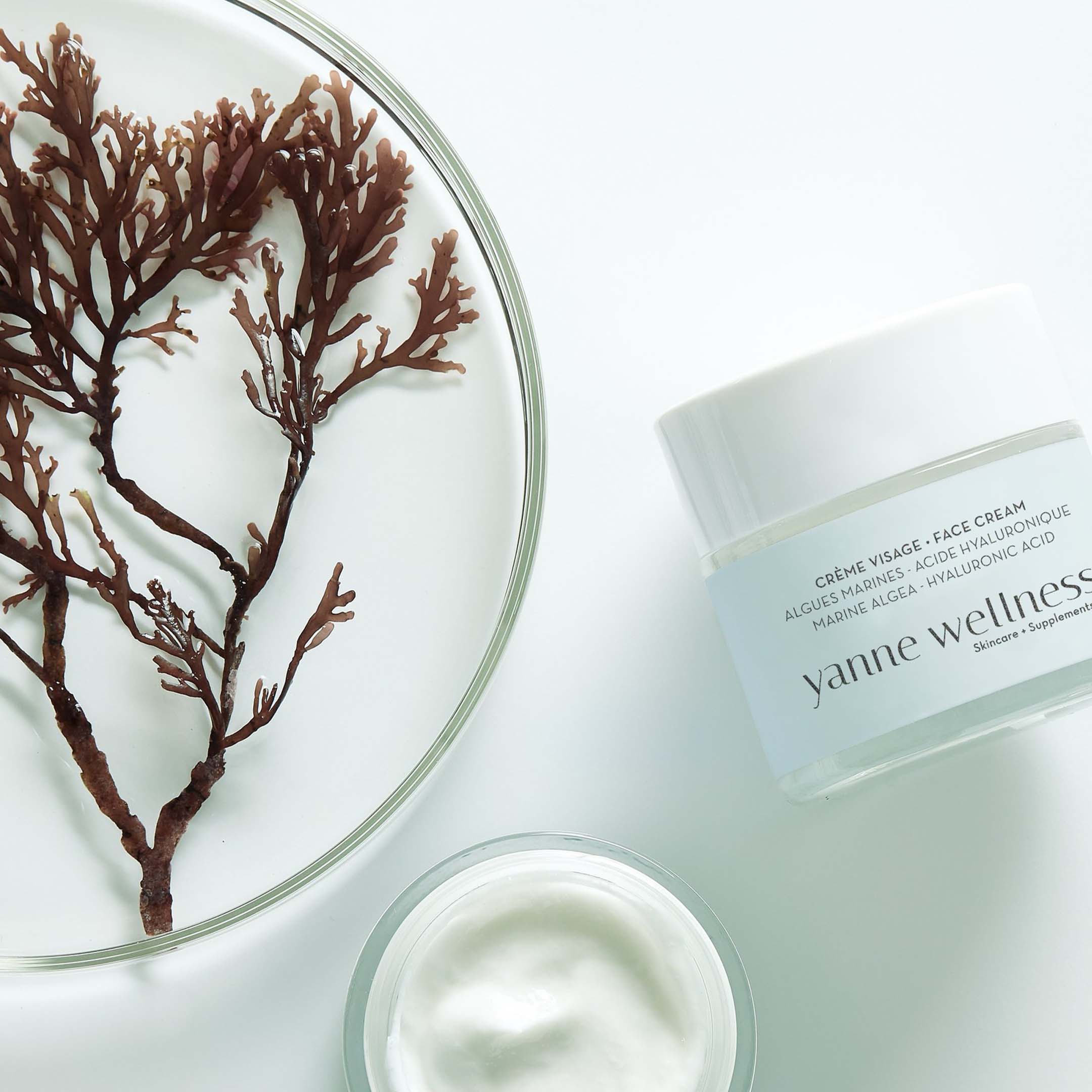 Algae Face Cream 50Ml - Image 5