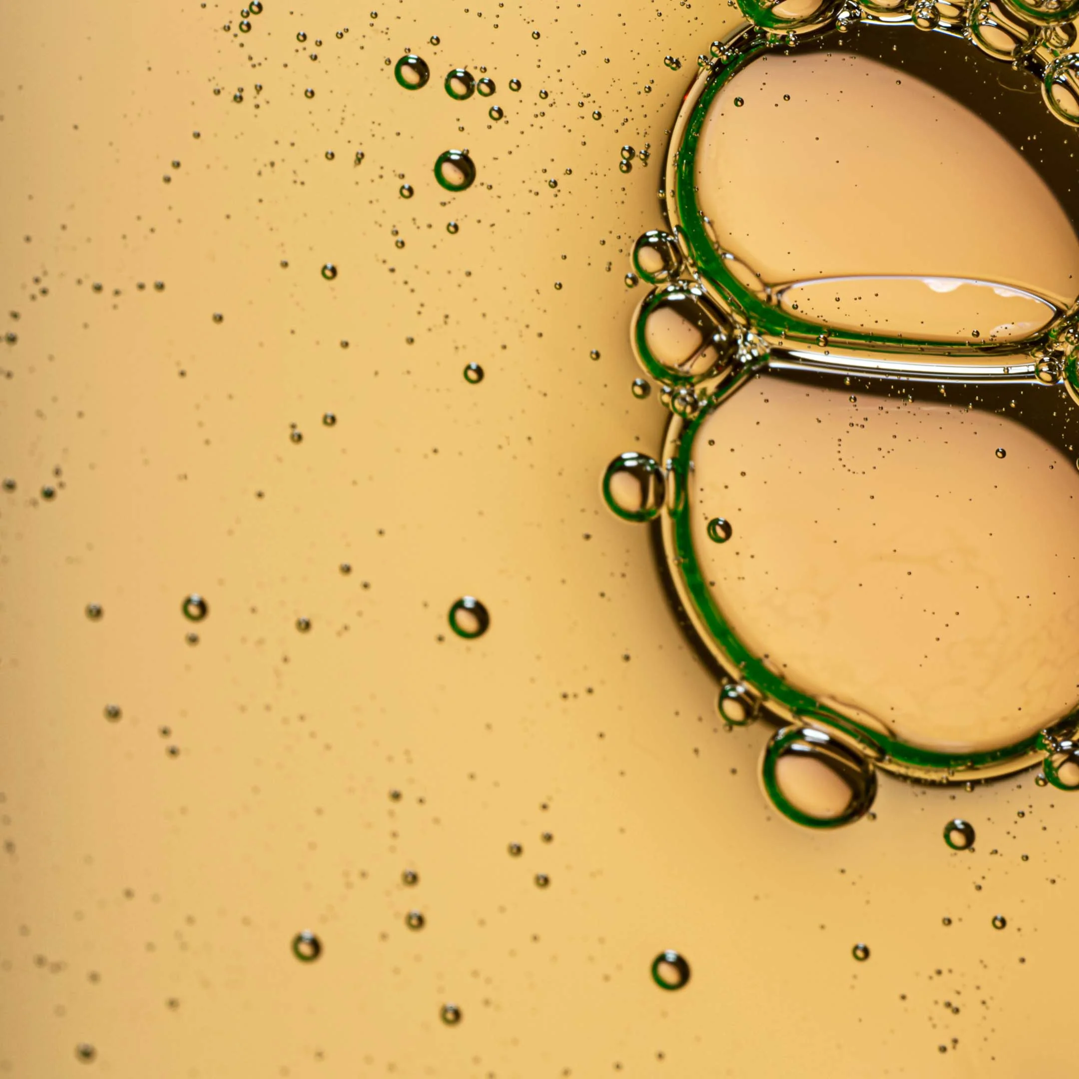 Anointed Vitamin C Foaming Cleanser - Image 3