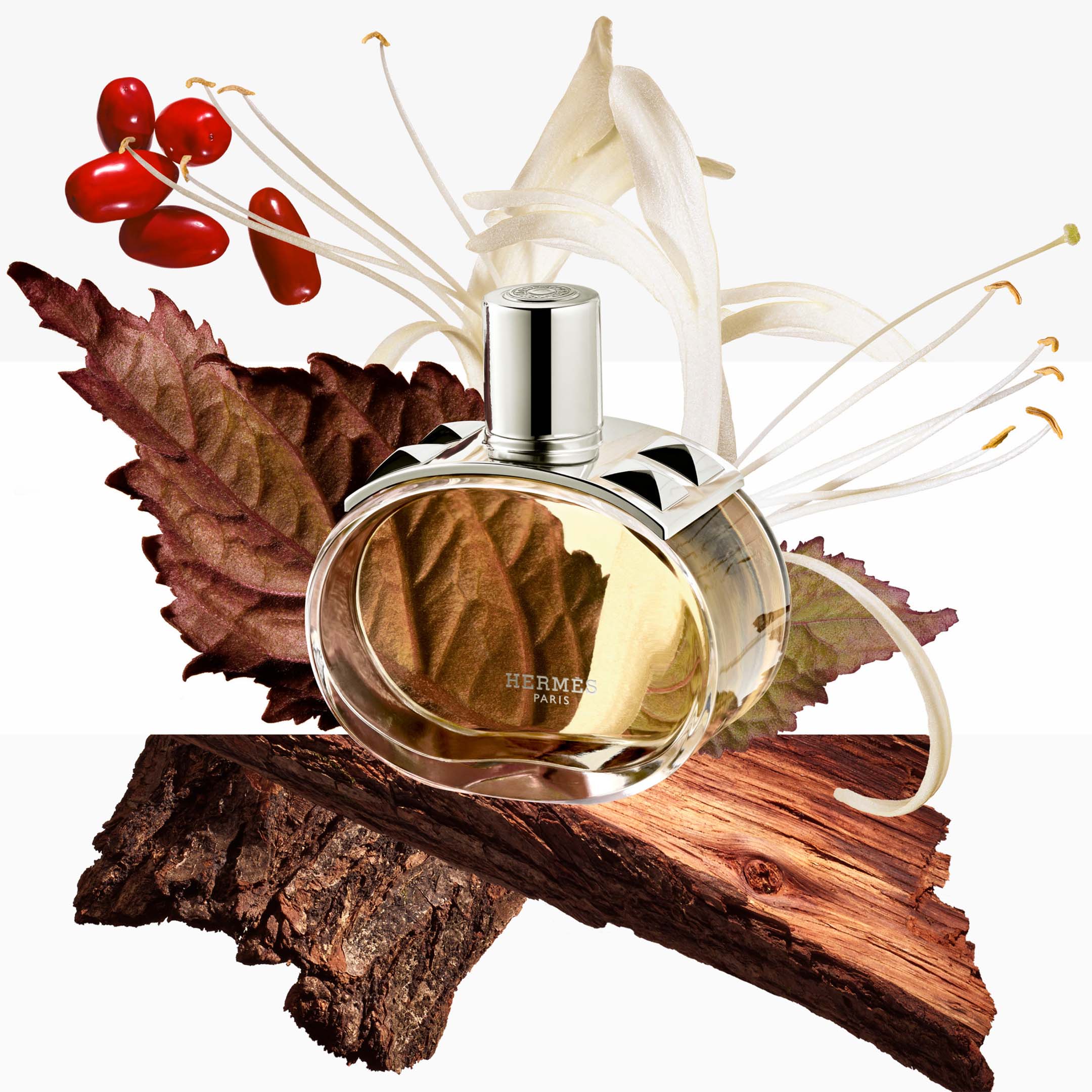 Barenia Perfumed Body Cream 200Ml - Image 4