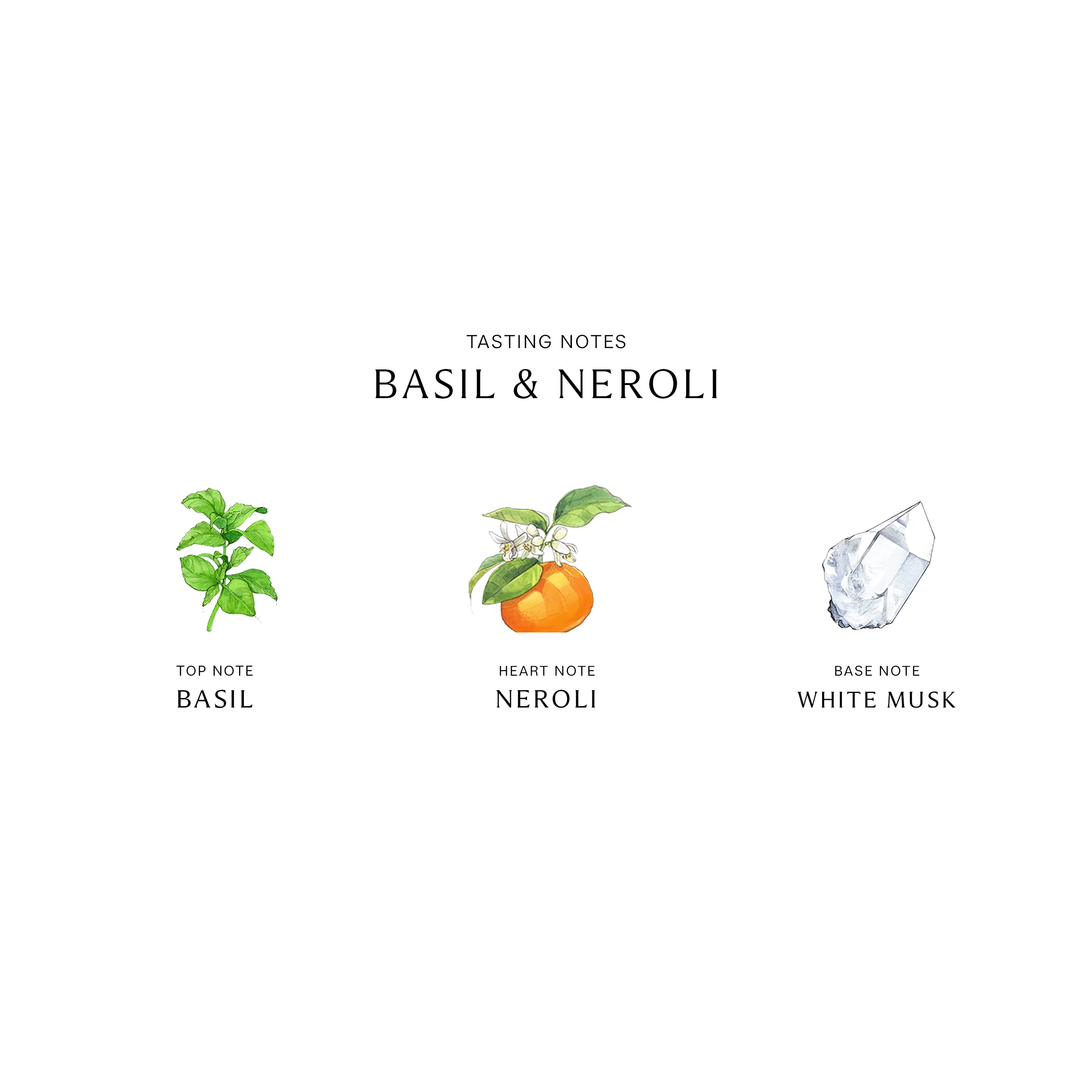 Basil & Neroli Cologne - Image 2