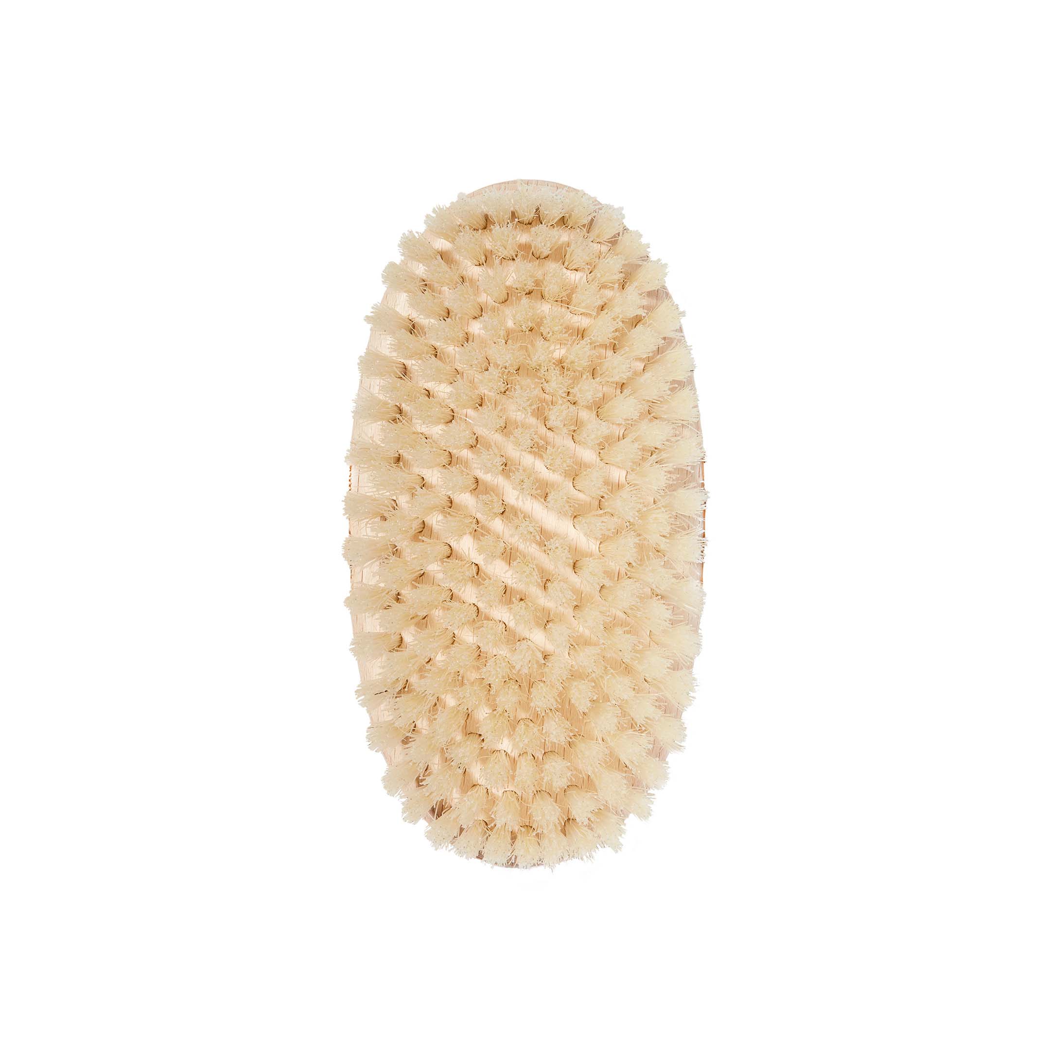 BODY BRUSH MEDIUM - Image 2