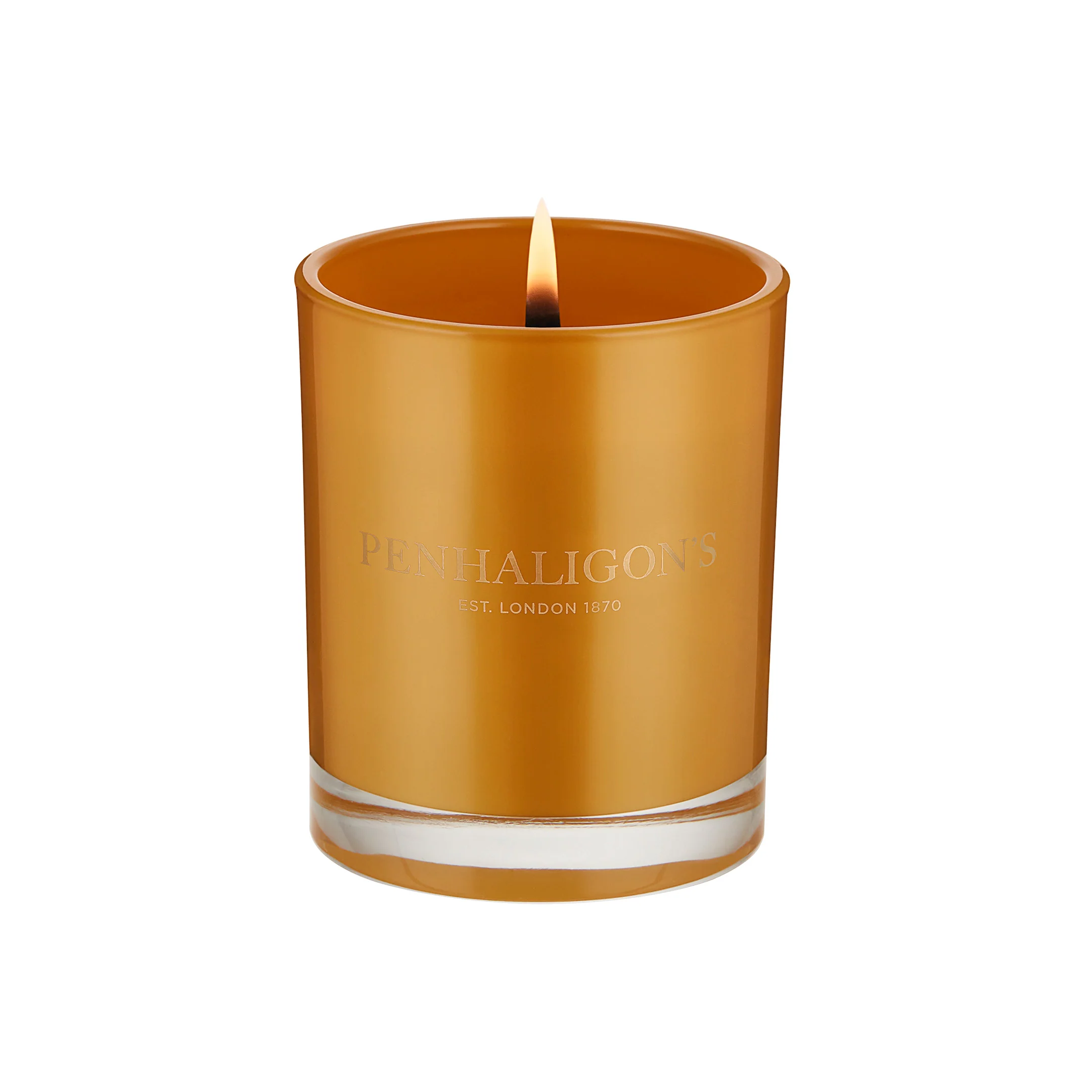 Calisaya Bark Candle - Image 2