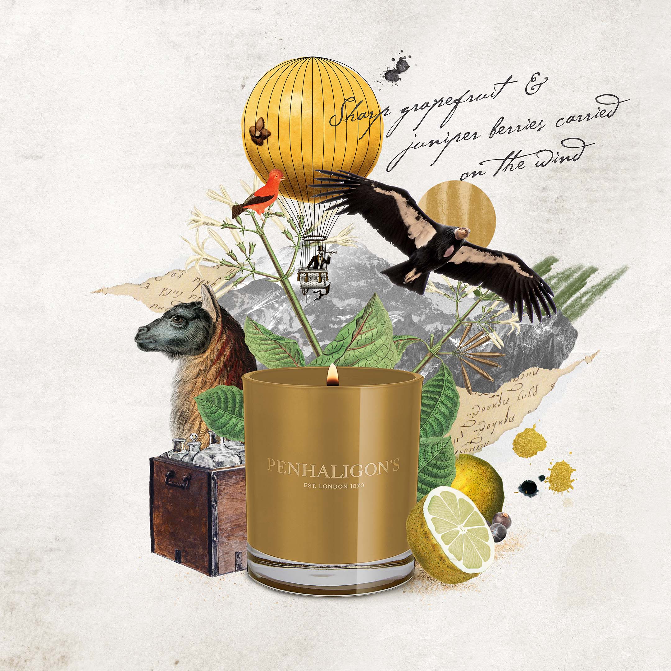 Calisaya Bark Candle - Image 5