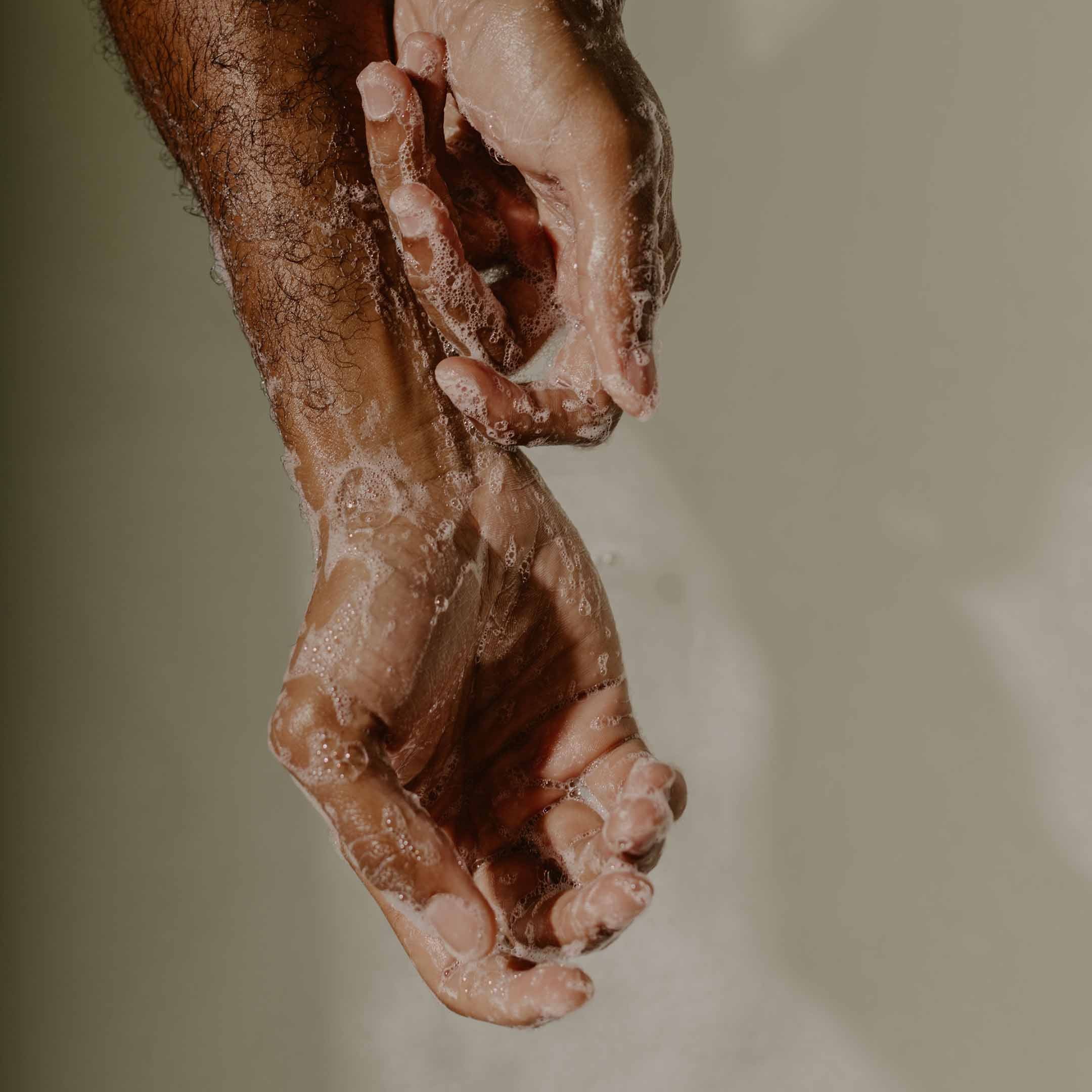 Cedarleaf / Cardamom Hand & Body Wash - Image 3