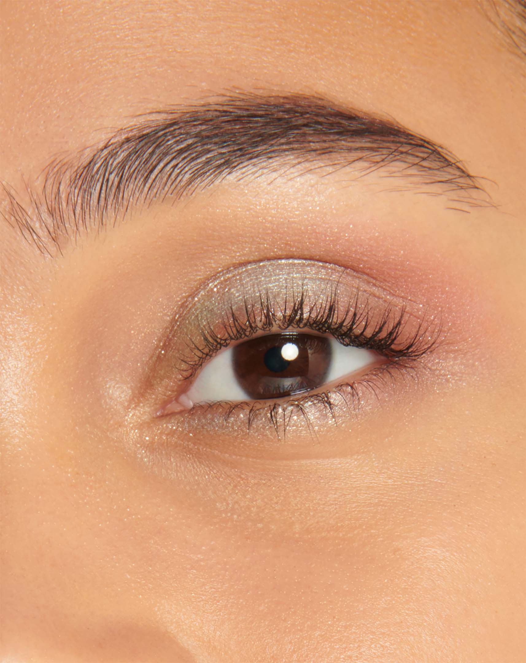 Cpb Eye Color Quad 502 Hol24 - Image 4