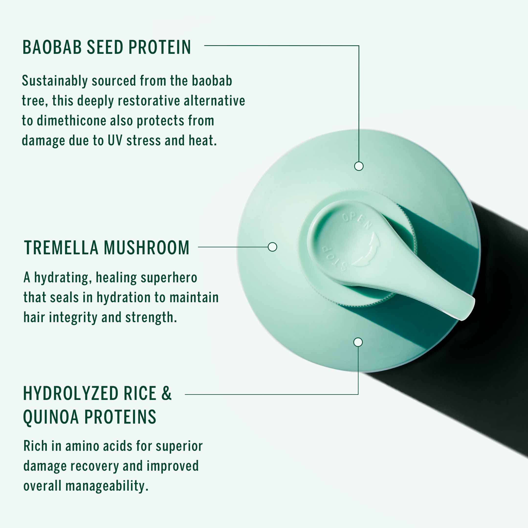 Cypress Conditioner - Image 4
