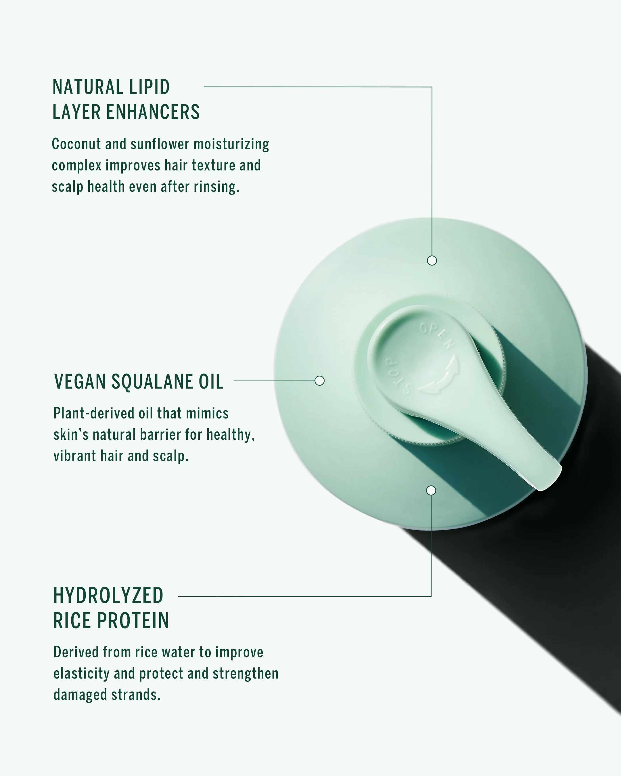 Cypress Shampoo - Image 6