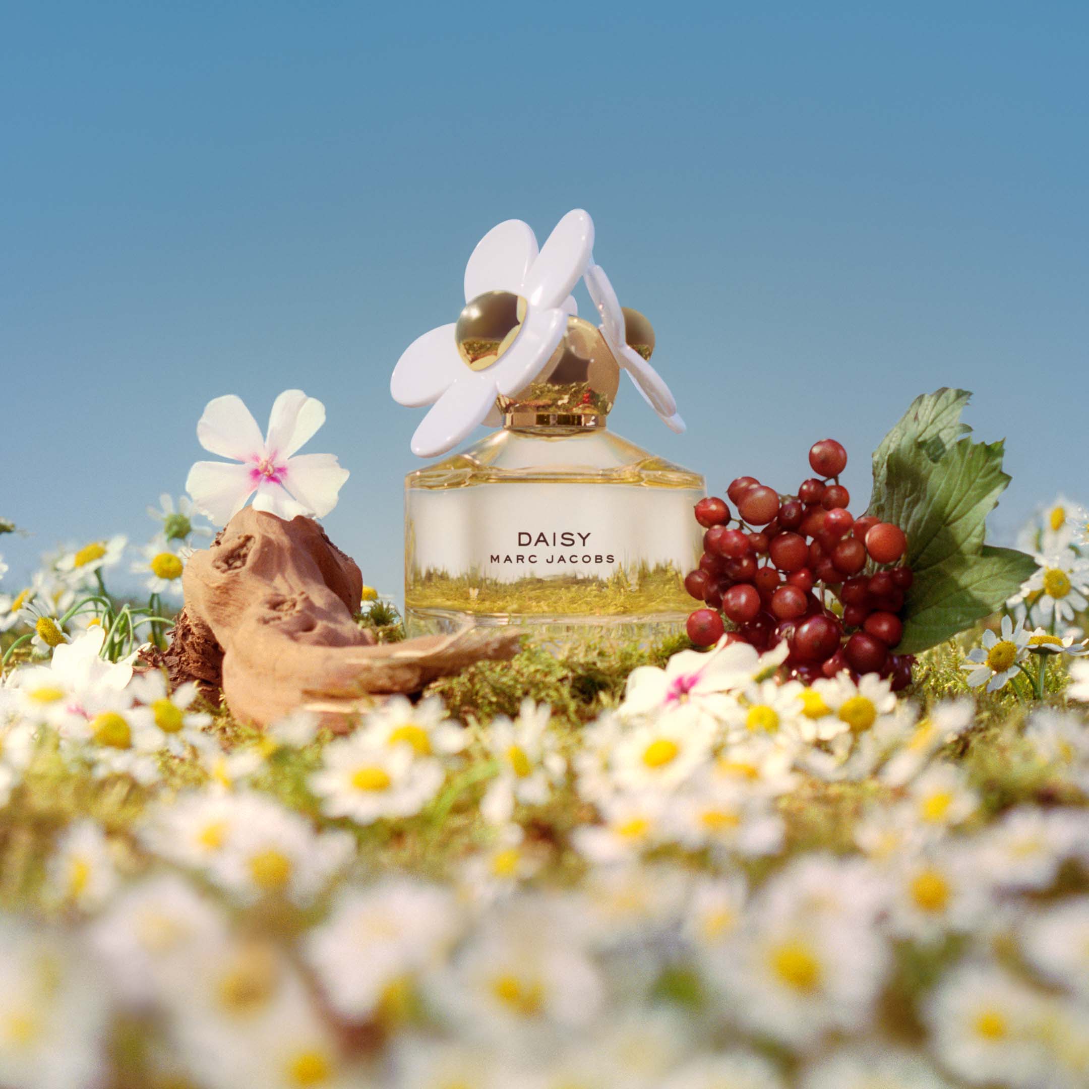 Daisy Eau de Toilette - Image 2