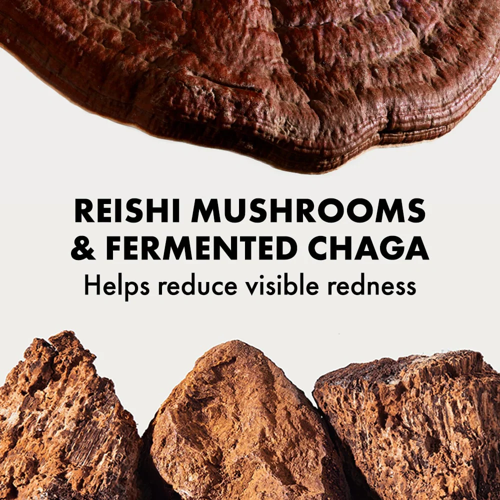 Dr. Andrew Weil For Origins⢠Mega-Mushroom Relief & Resilience Soothing Treatment Lotion - Image 5