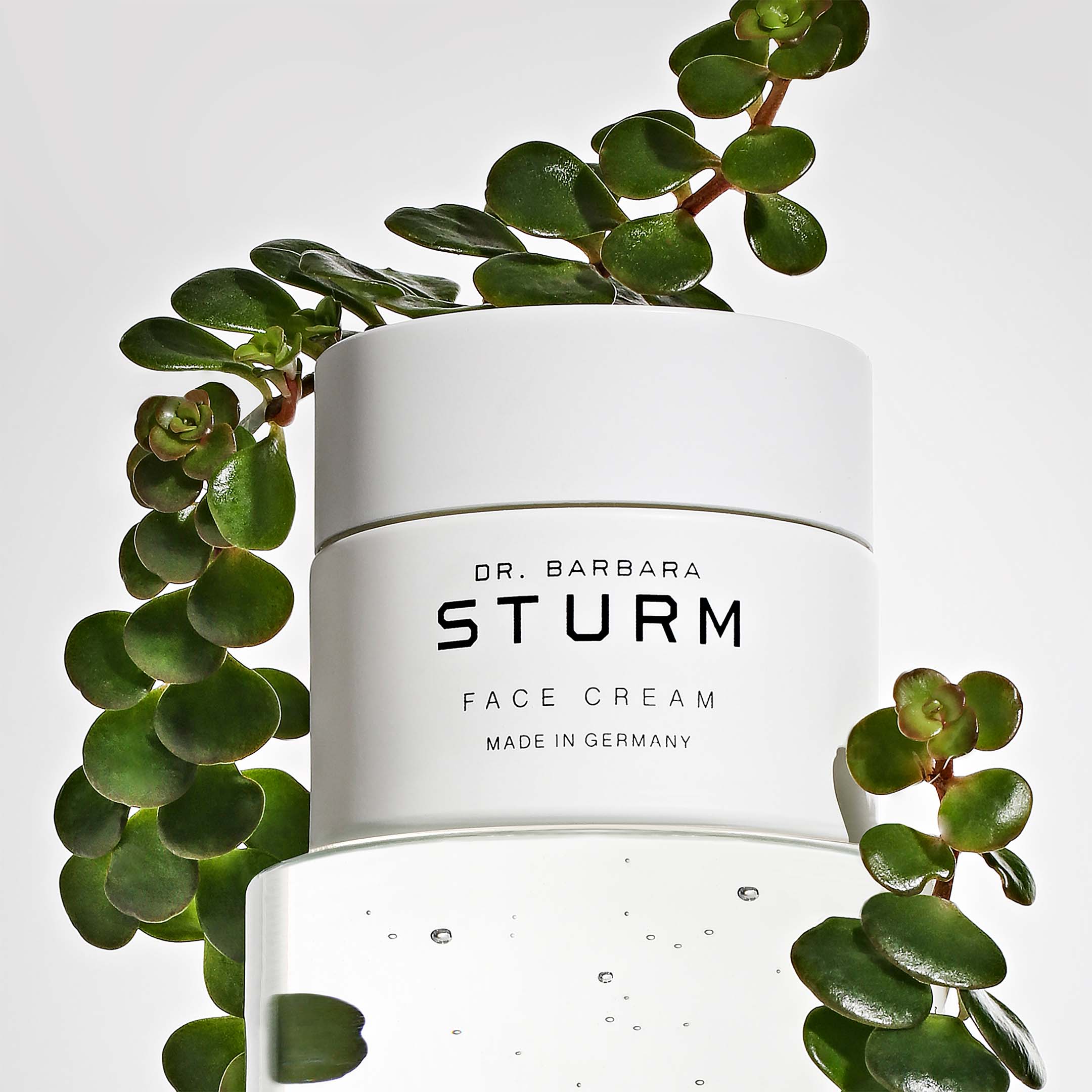 FACE CREAM - Image 4