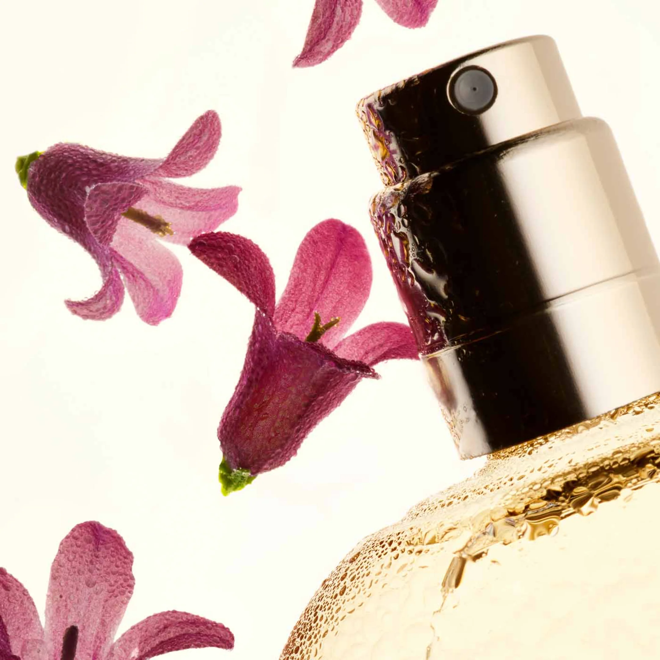 Fix' Make-Up - Limited Edition - Image 3