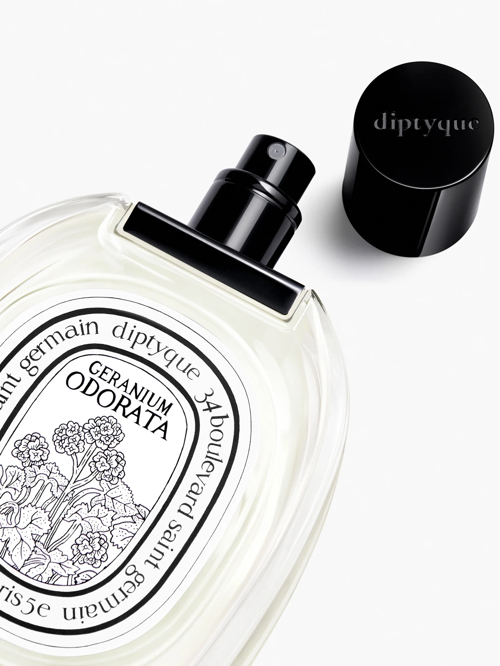 Geranium Odorata - Eau De Toilette - Image 2