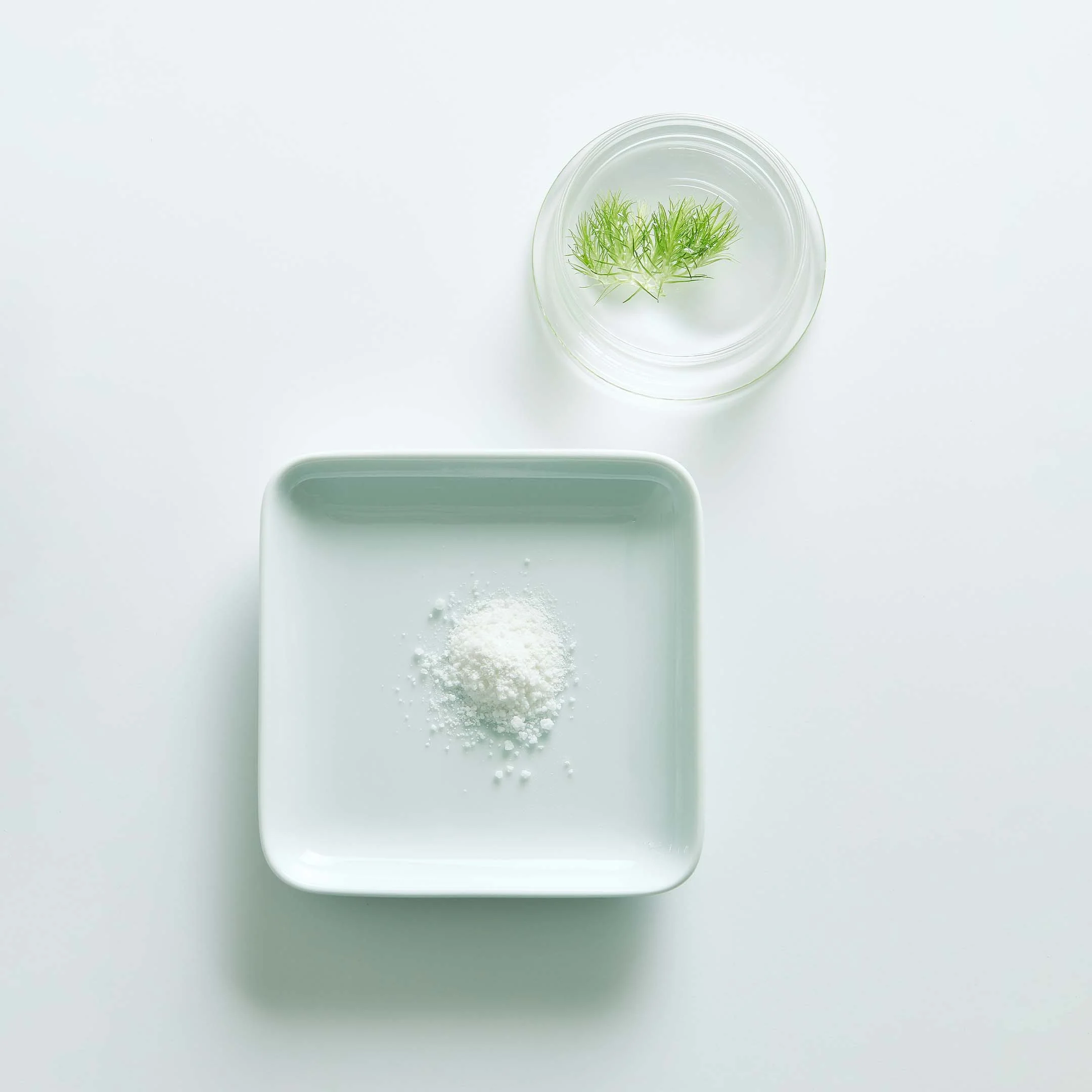 Glow Exfoliating Powder - Image 2