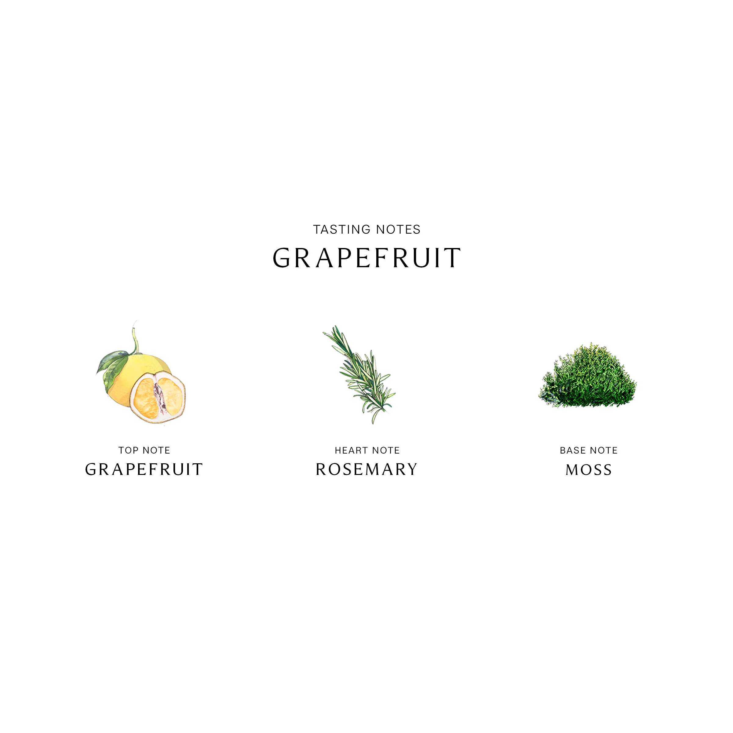 Grapefruit Body & Hand Wash - Image 2