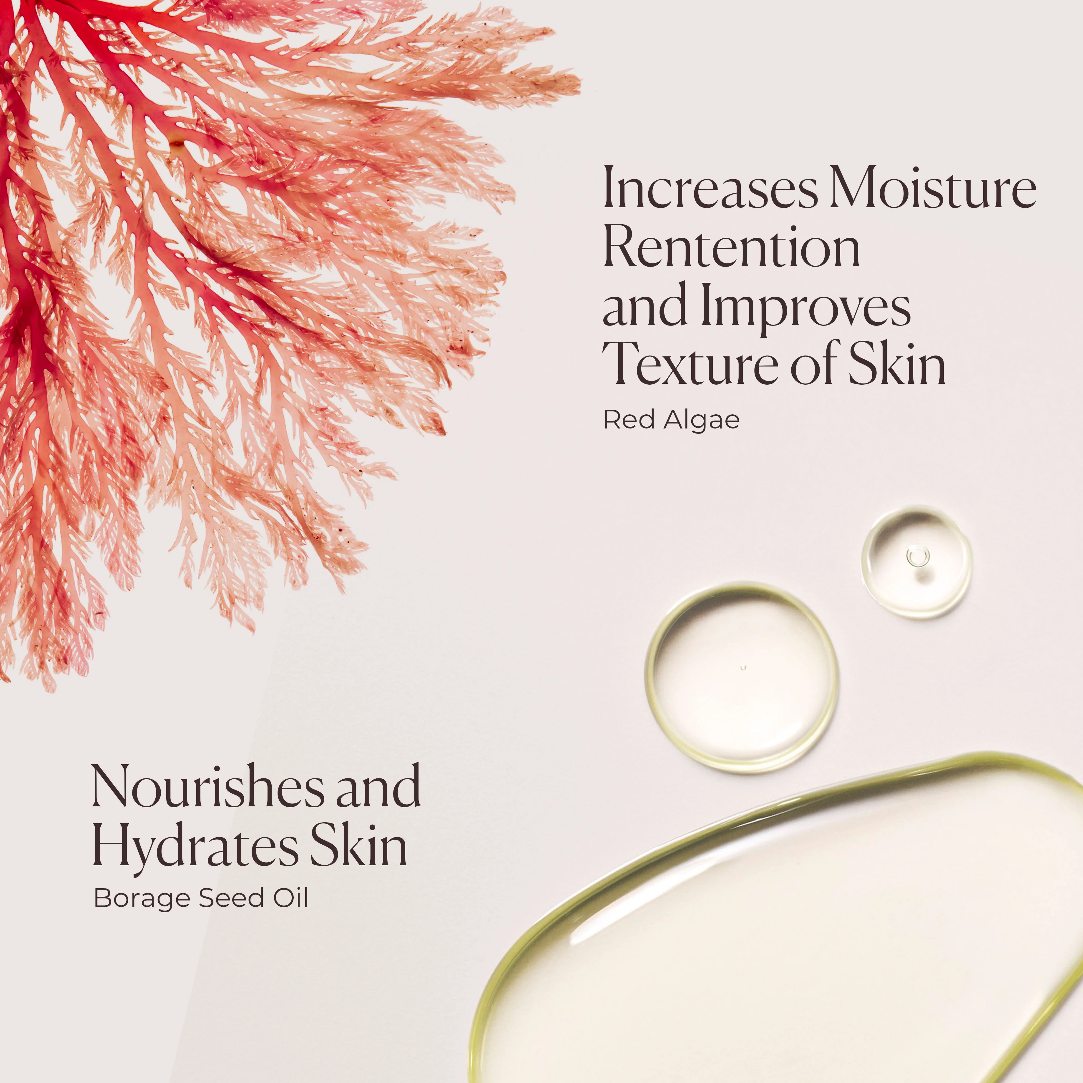 Honey Bath - Image 5