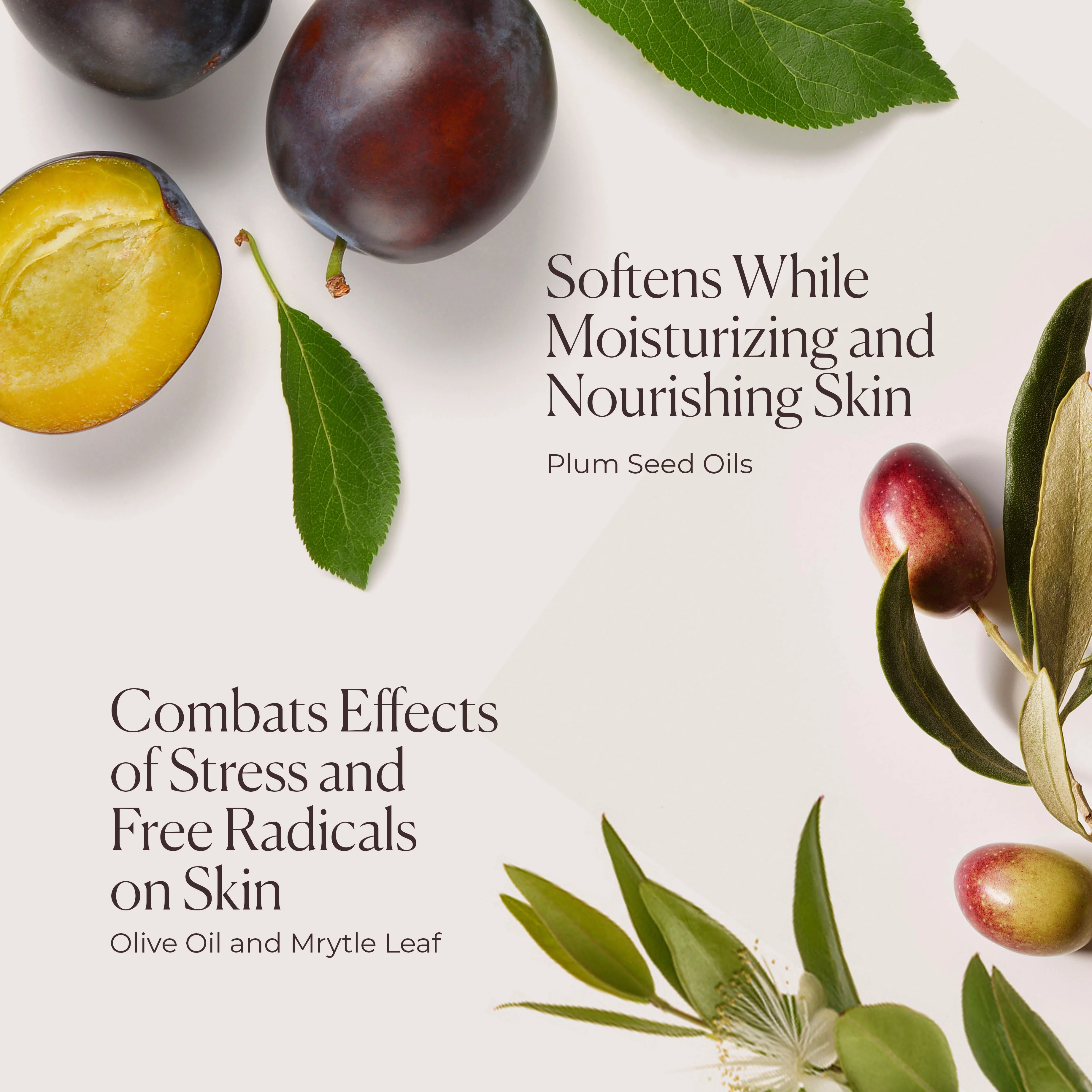 Hydrating Body Wash - Image 5