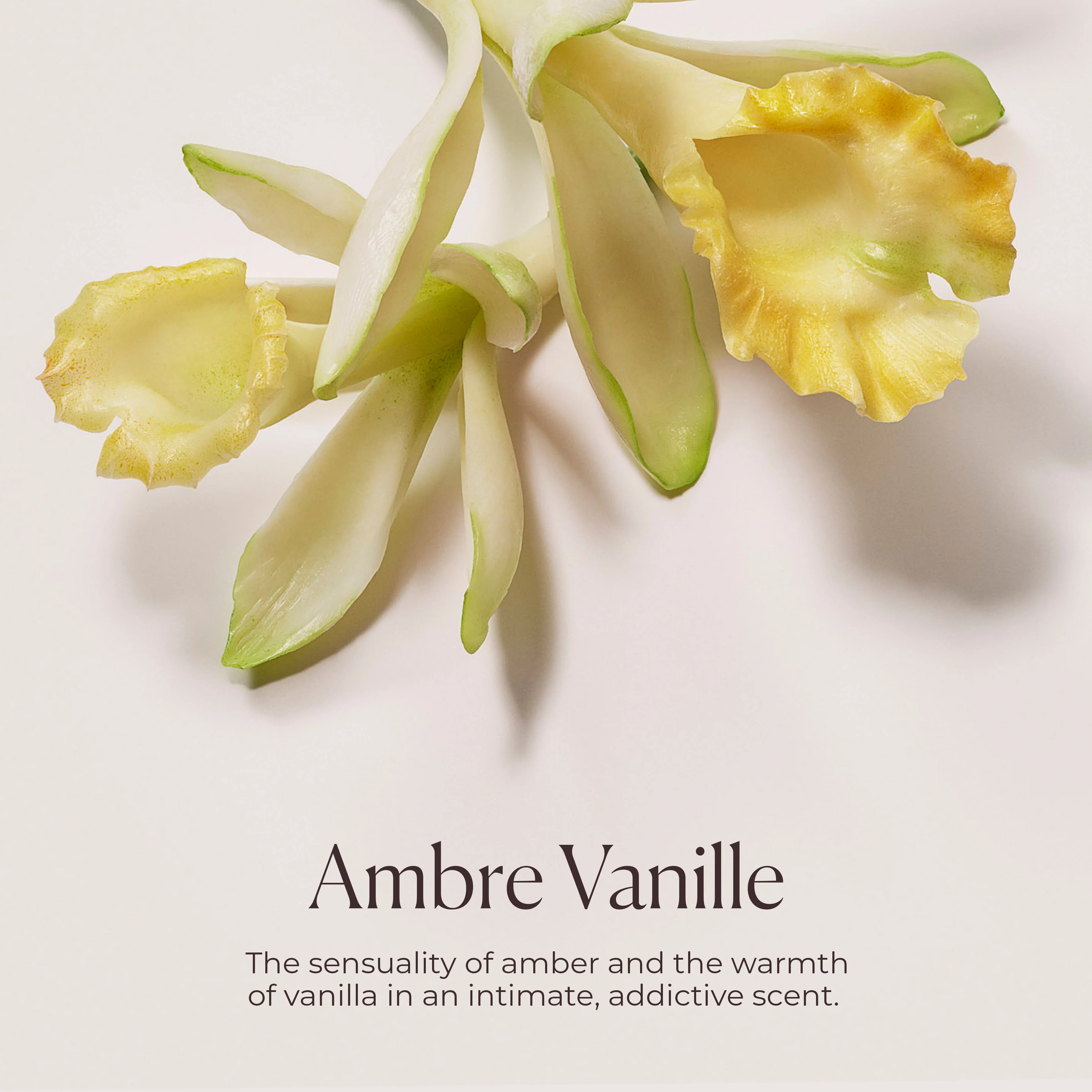 Hydrating Body Wash - Image 6