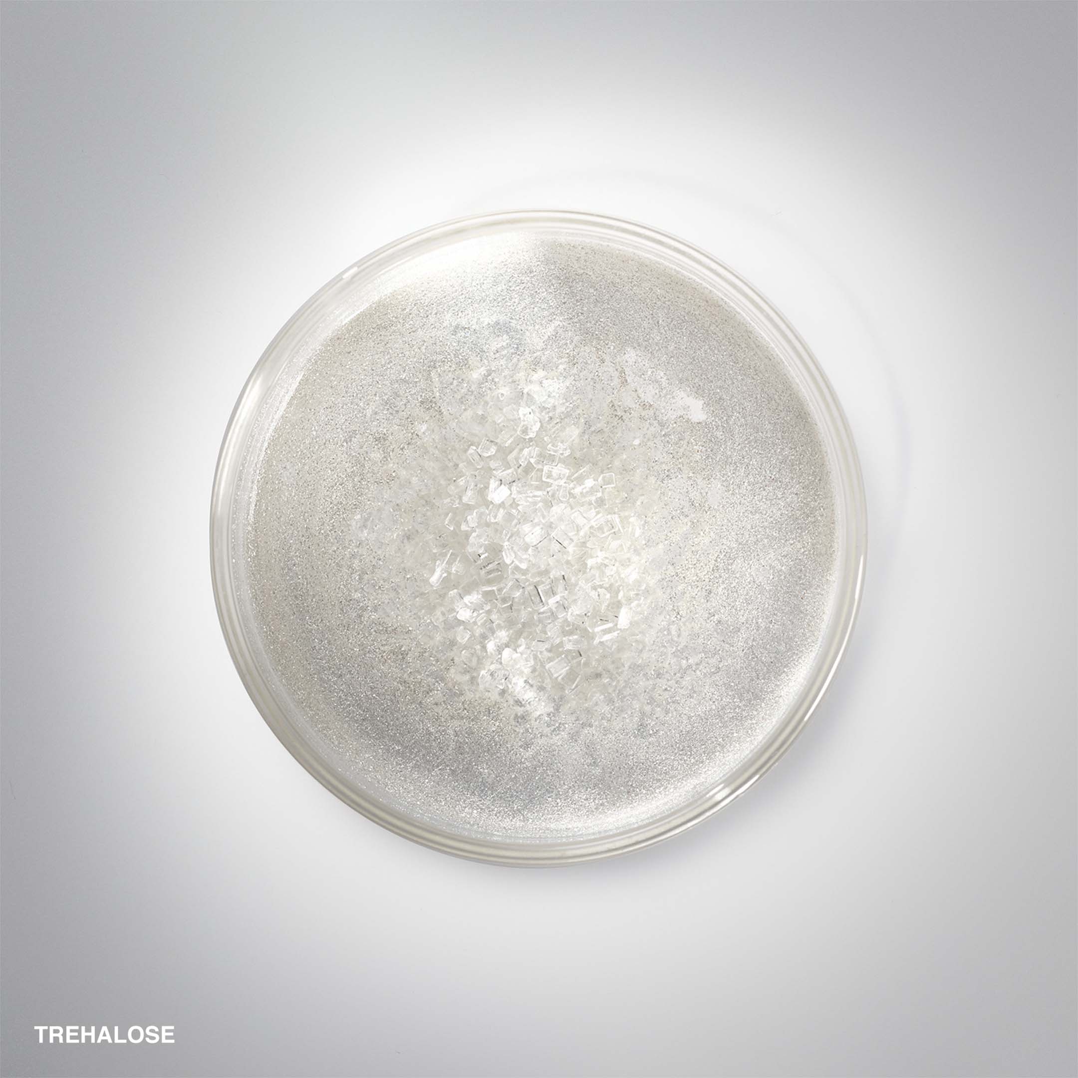 Hydrating Face Cream - Image 3