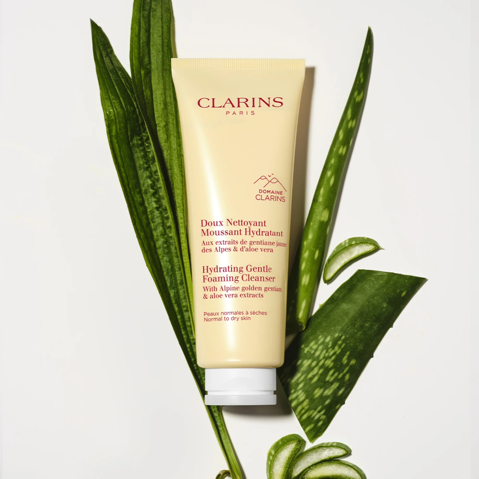 Hydrating Gentle Foaming Cleanser - Image 4