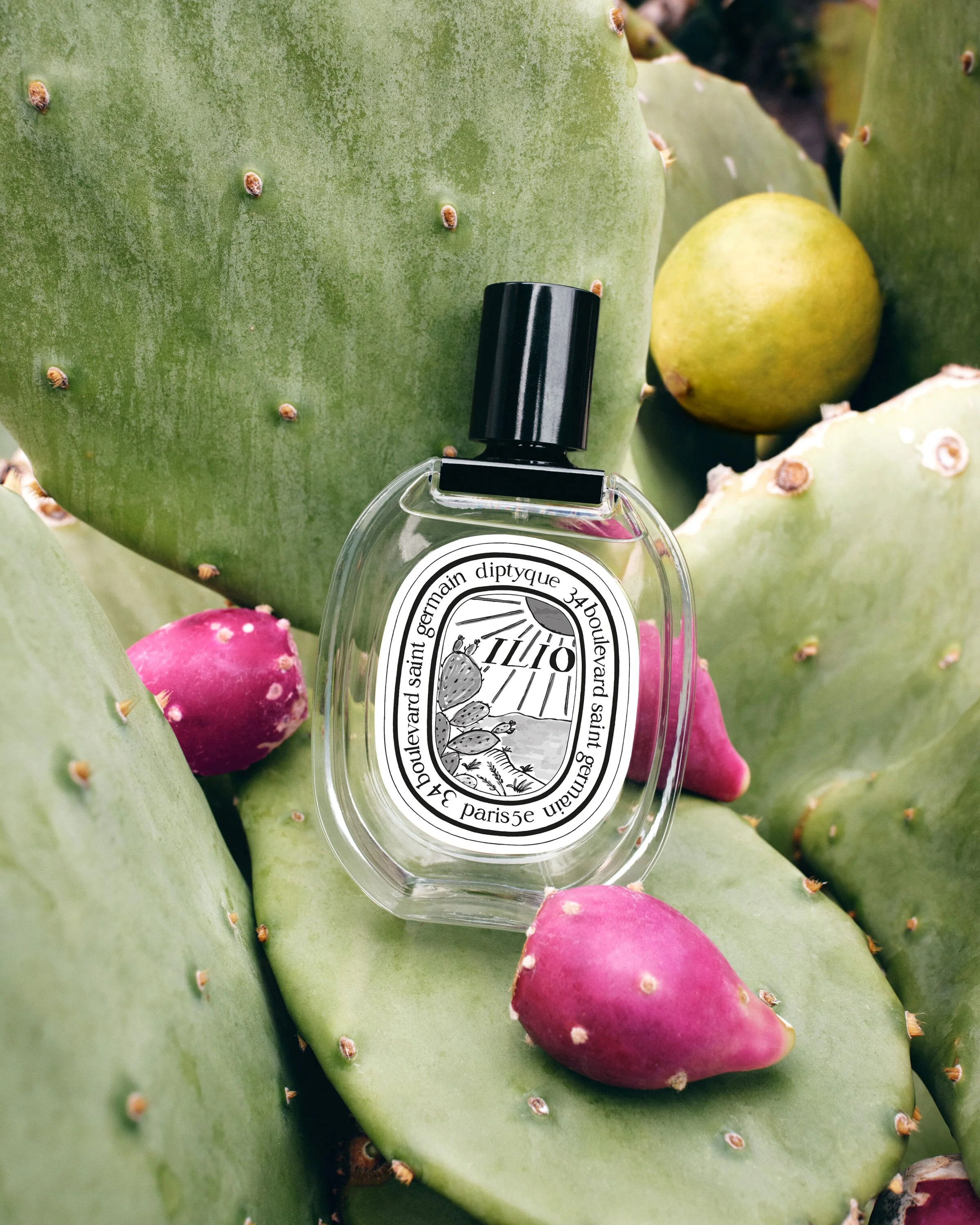 Ilio - Eau de Toilette - Image 5