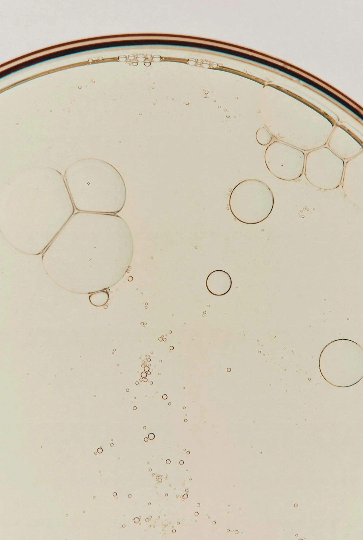 Immaculate Facial Tonic - Image 2