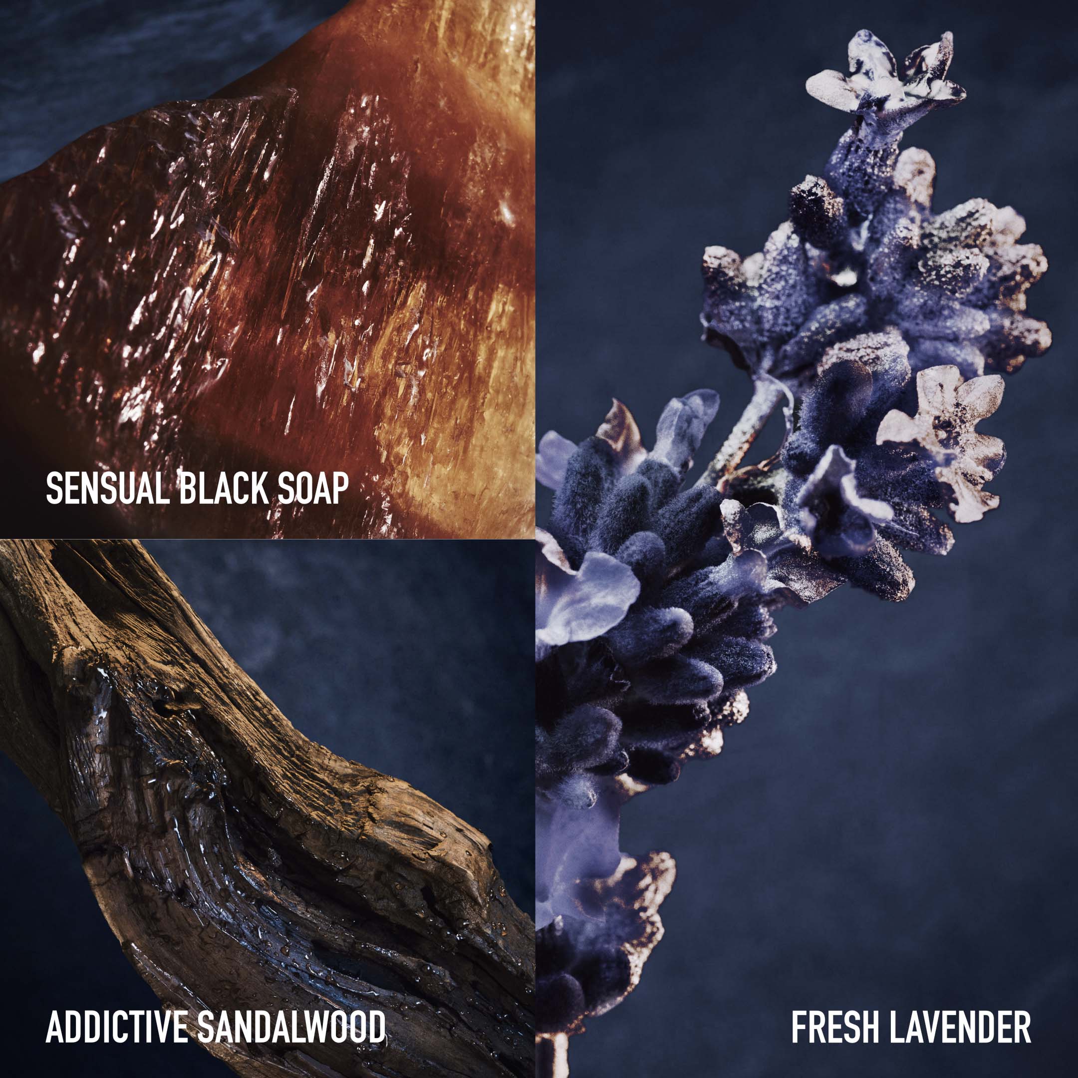 Invictus Parfum Spray 100Ml - Image 4