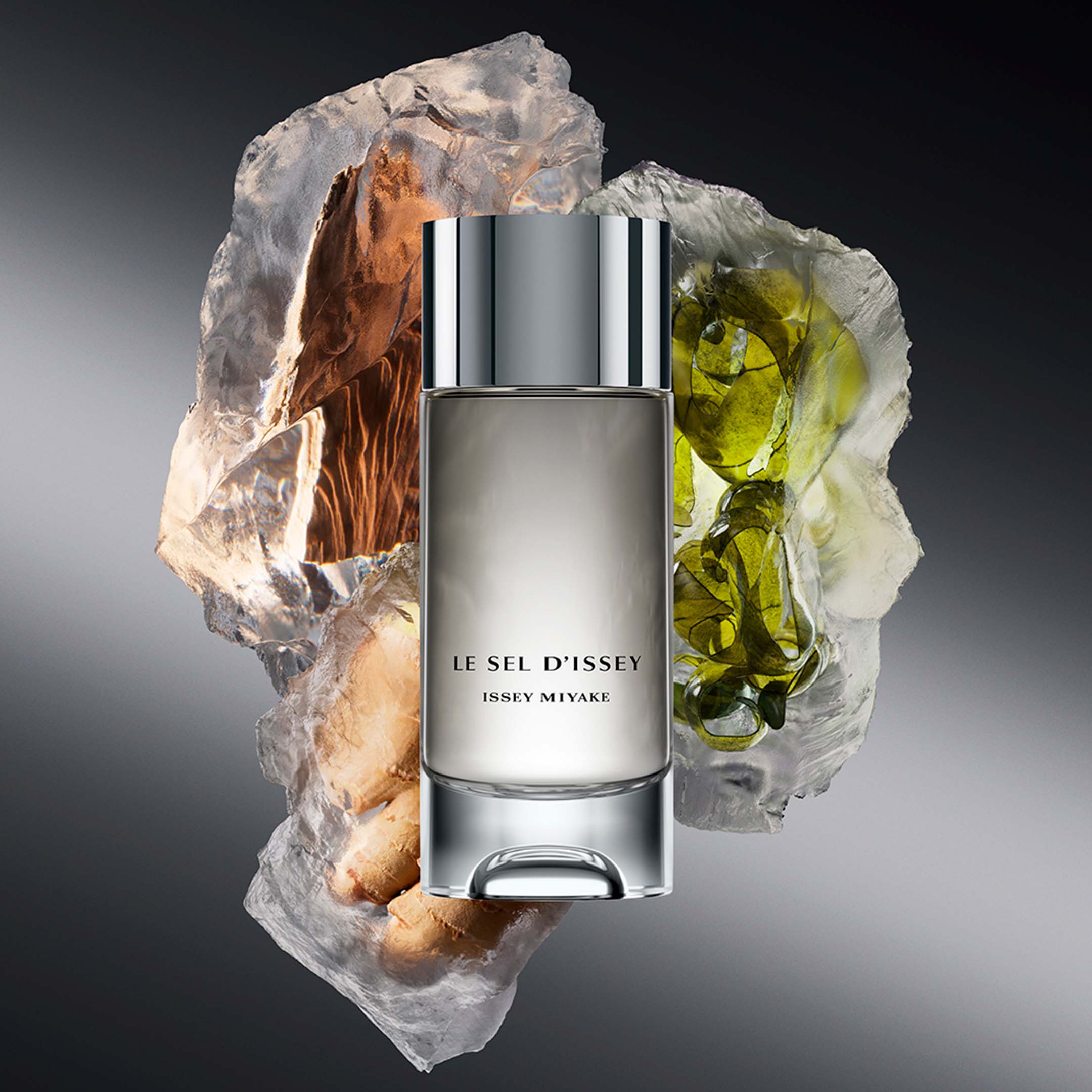Issey Miyake Le Sel D'Issey Eau De Toilette - Image 2