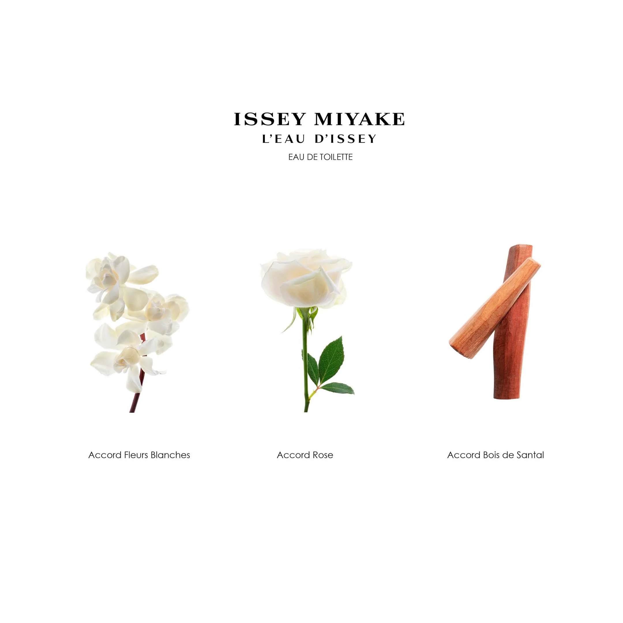 Issey Miyake L'Eau D'Issey Eau De Toilette - Image 6
