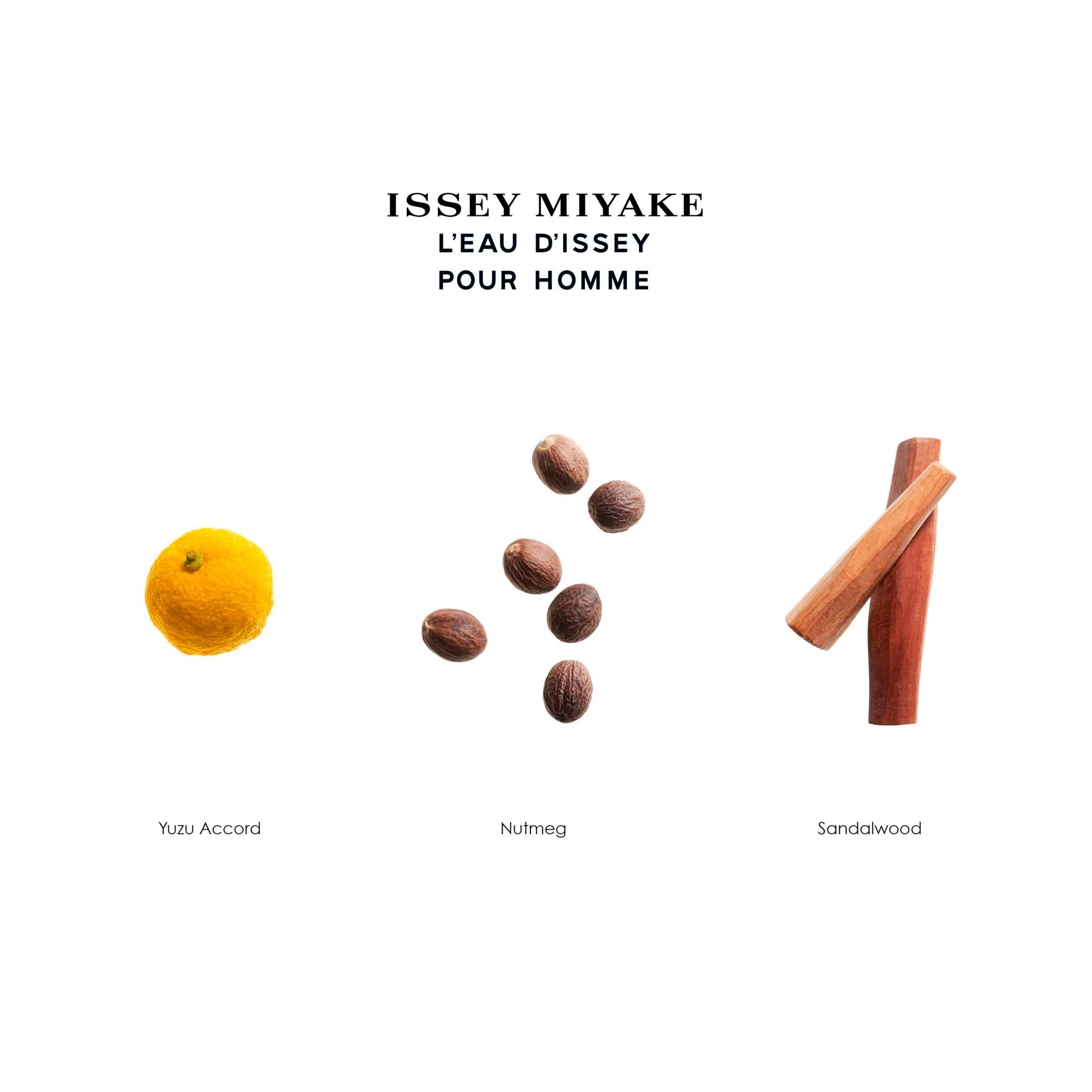 Issey Miyake L'Eau D'Issey Pour Homme Eau De Toilette - Image 5