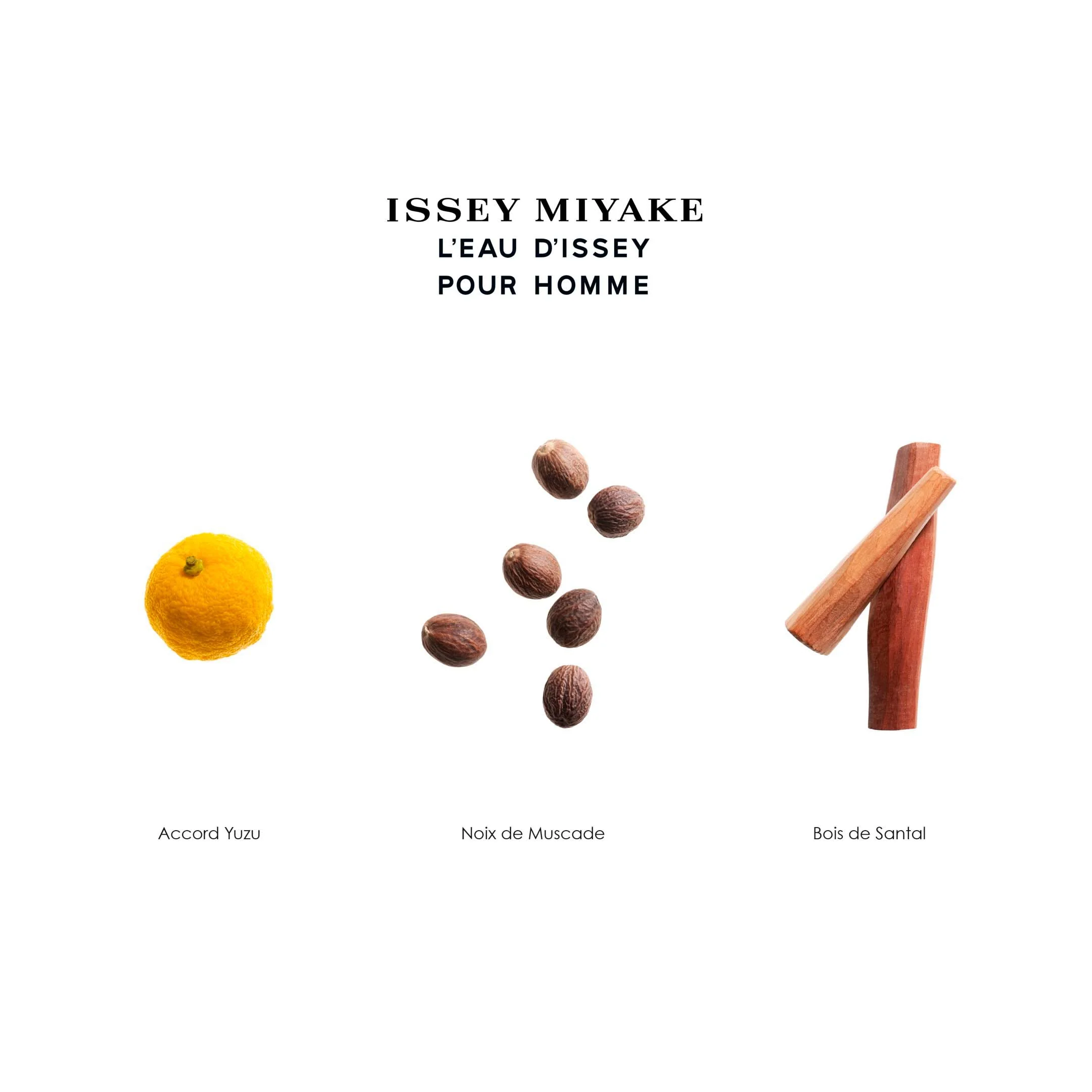 Issey Miyake L'Eau D'Issey Pour Homme Eau De Toilette - Image 6