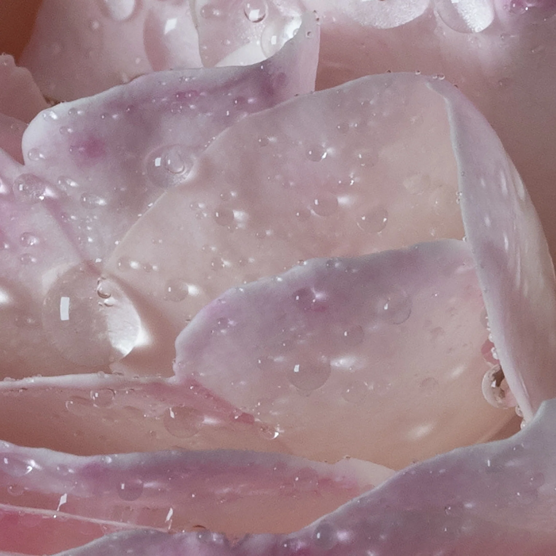 L'Eau À La Rose - Eau De Toilette - Image 5