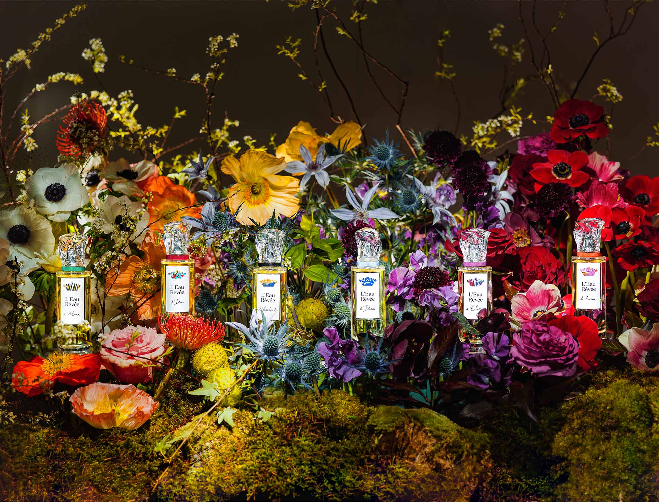 L'Eau Rêvée D'Hubert - Image 4