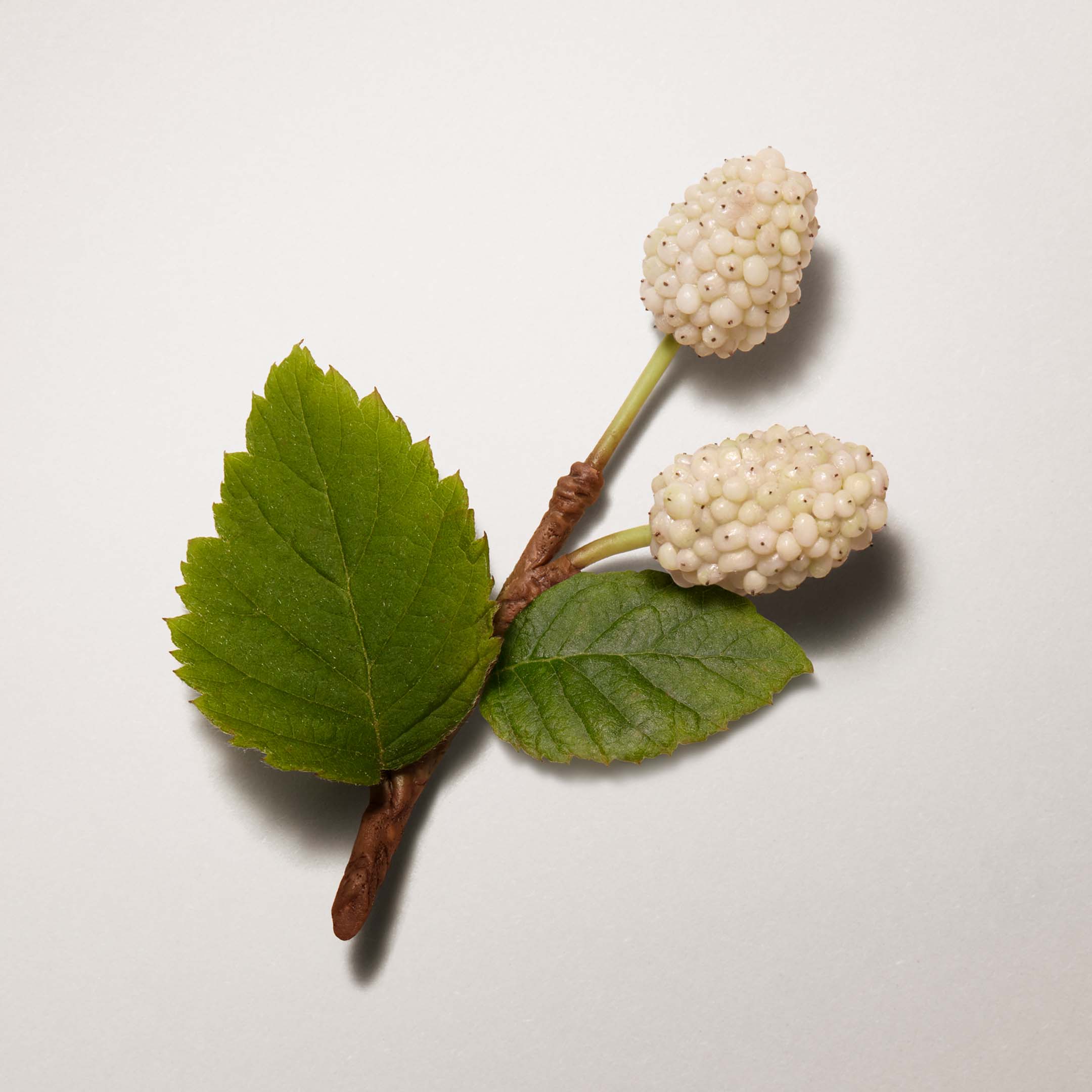 Les Mains Hermes Nourishing Oil Nails And Cuticles - Image 5