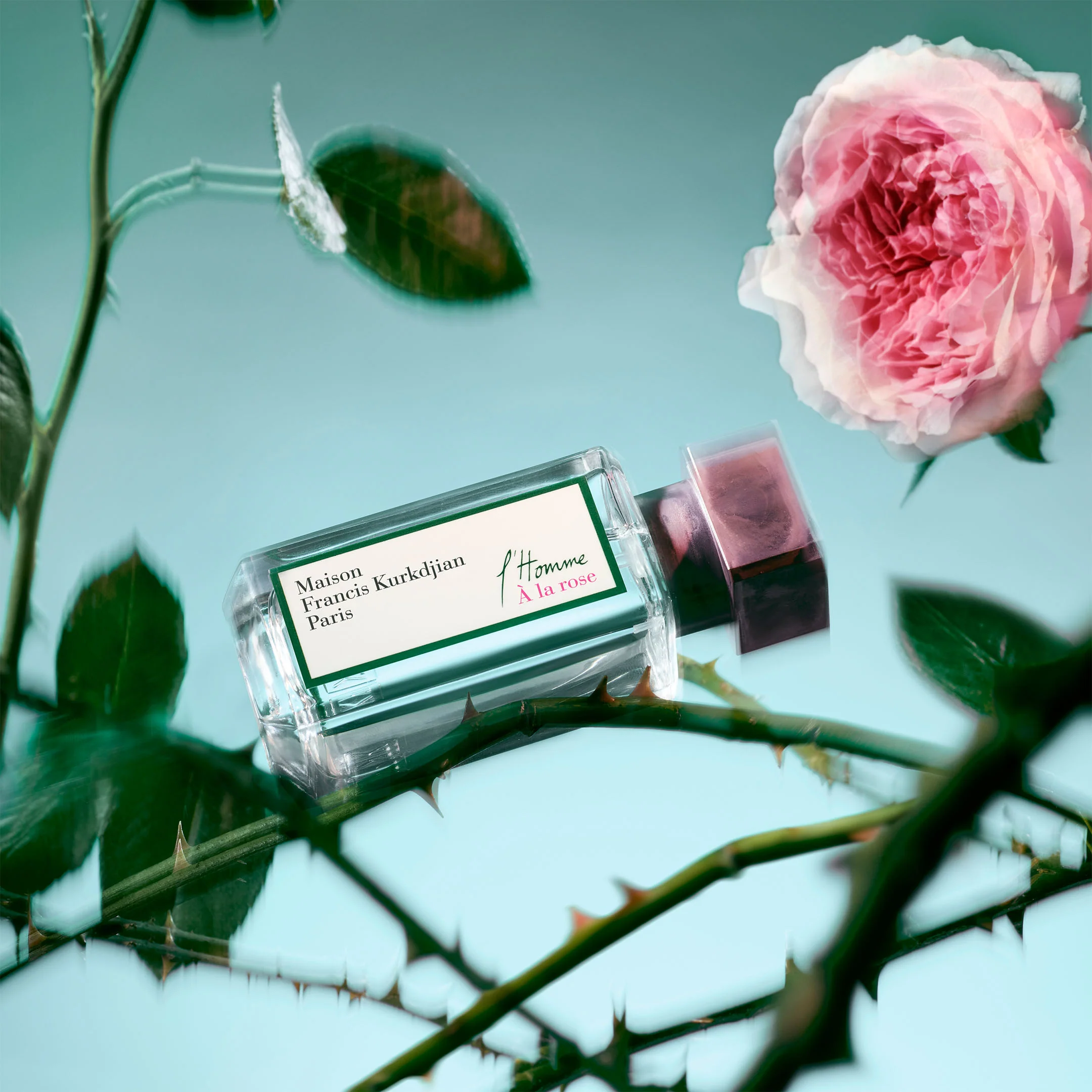 L'Homme Ă La Rose - Eau De Parfum - Image 4