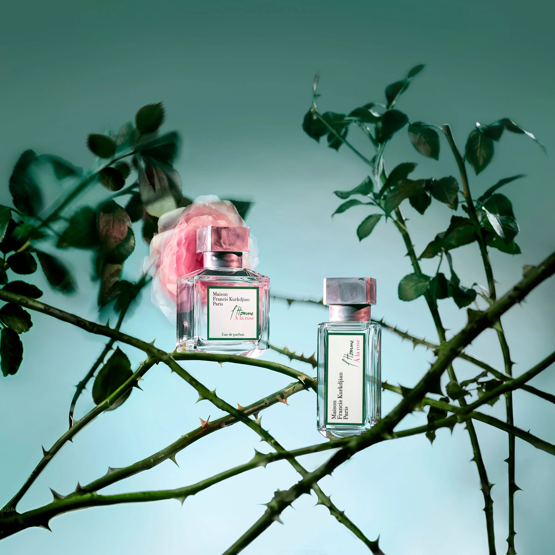 L'Homme Ă La Rose - Eau De Parfum - Image 5
