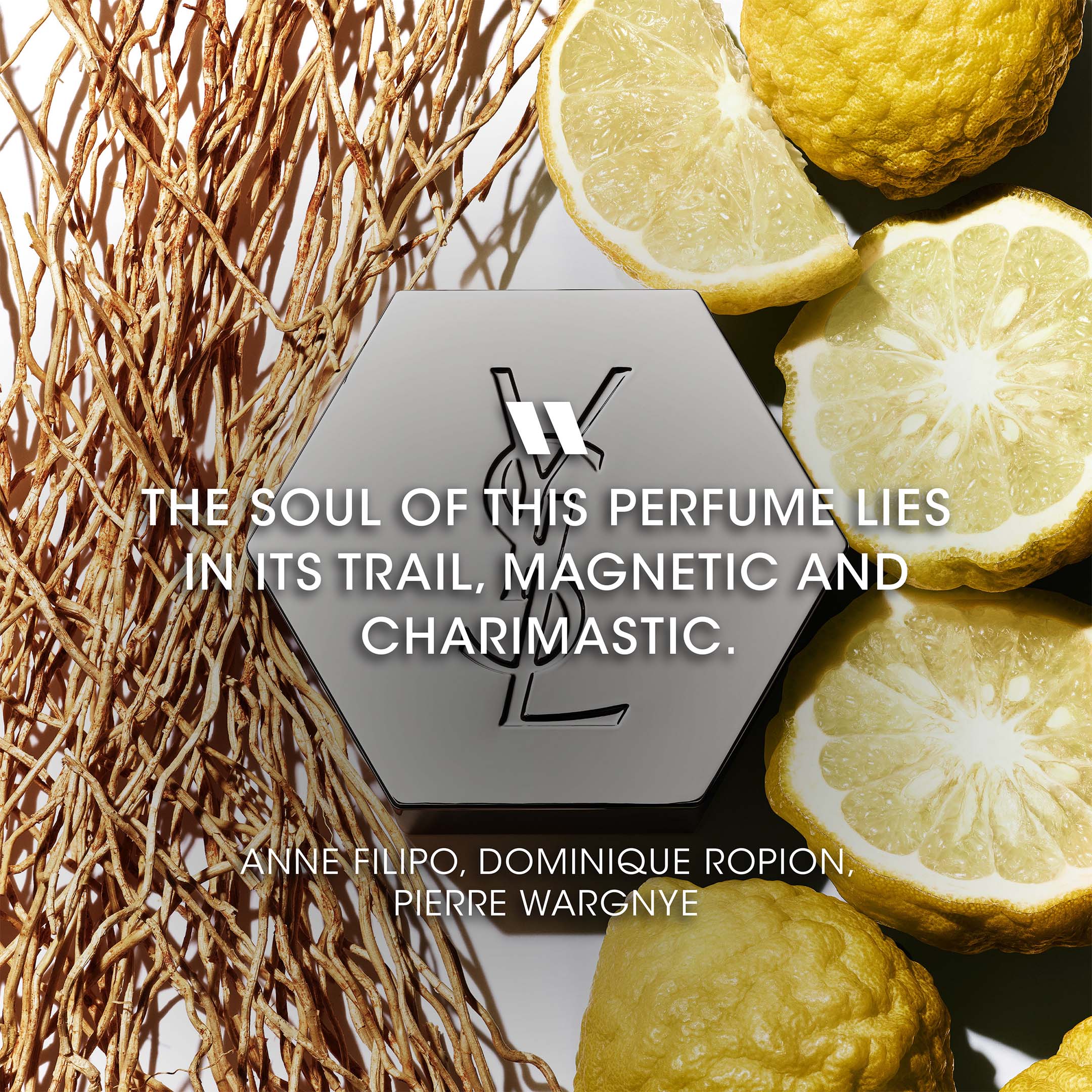 L'Homme Eau De Toilette - Image 4