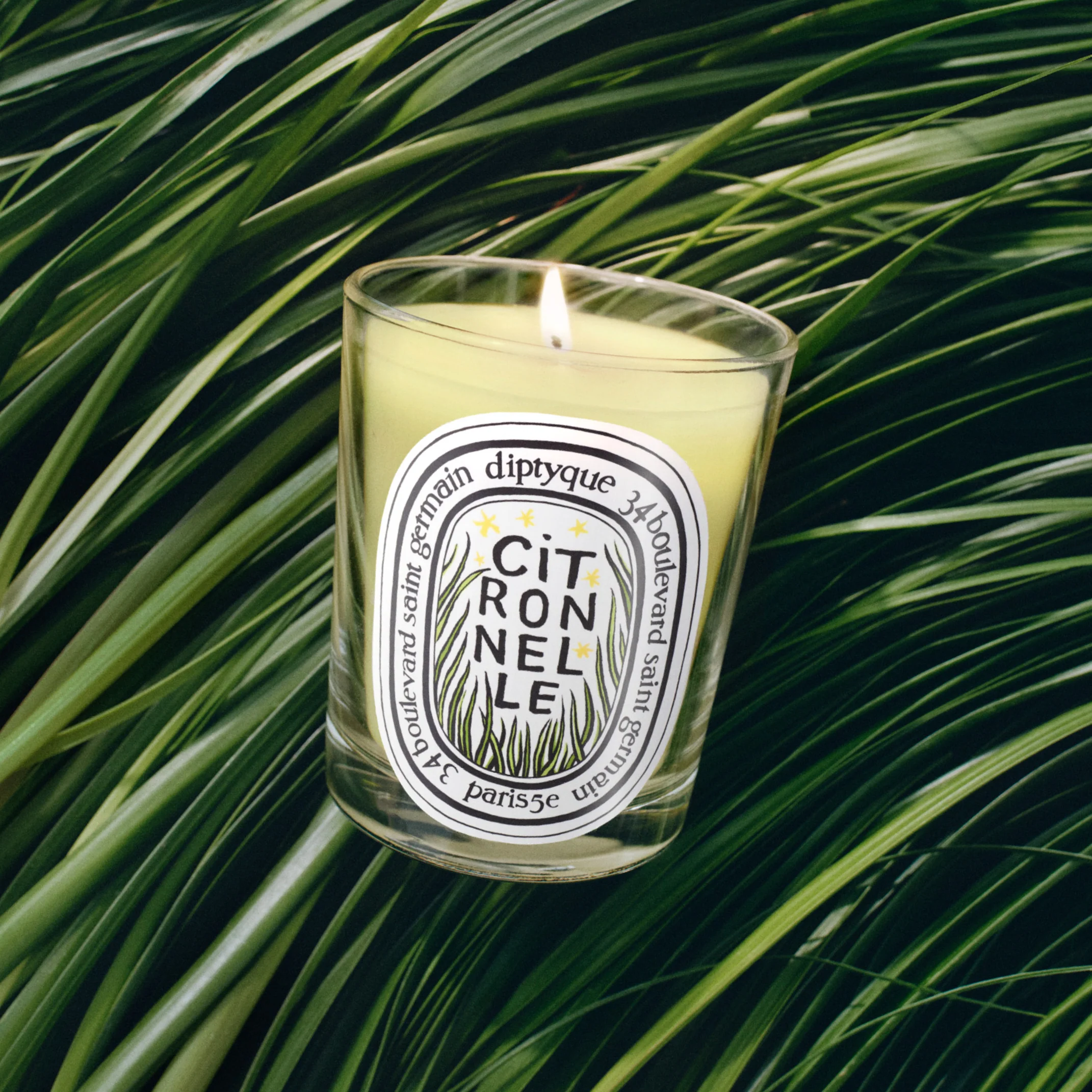 Limited Edition Citronnelle (Lemongrass) - Classic Candle - Image 3