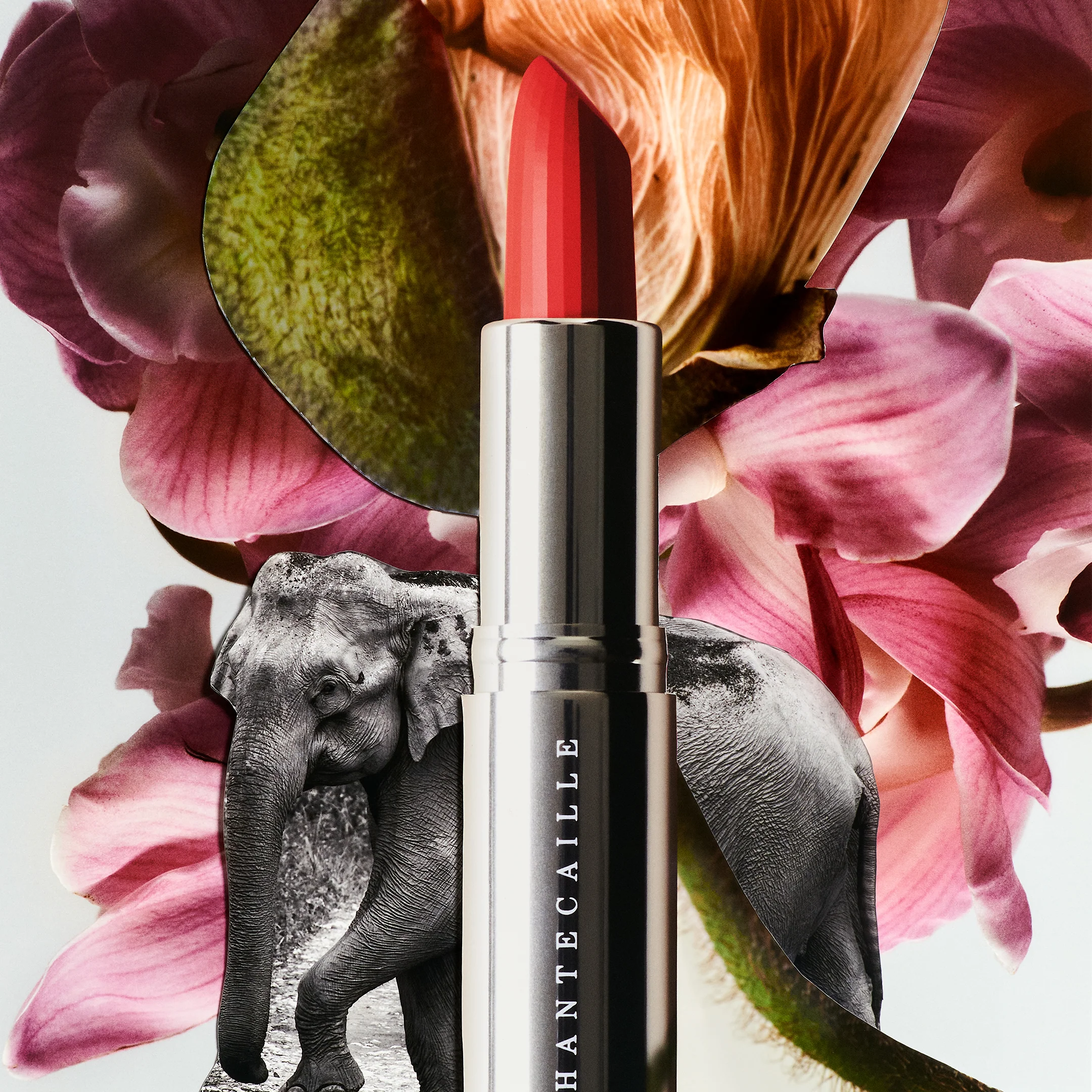 Lip Crème - Image 5