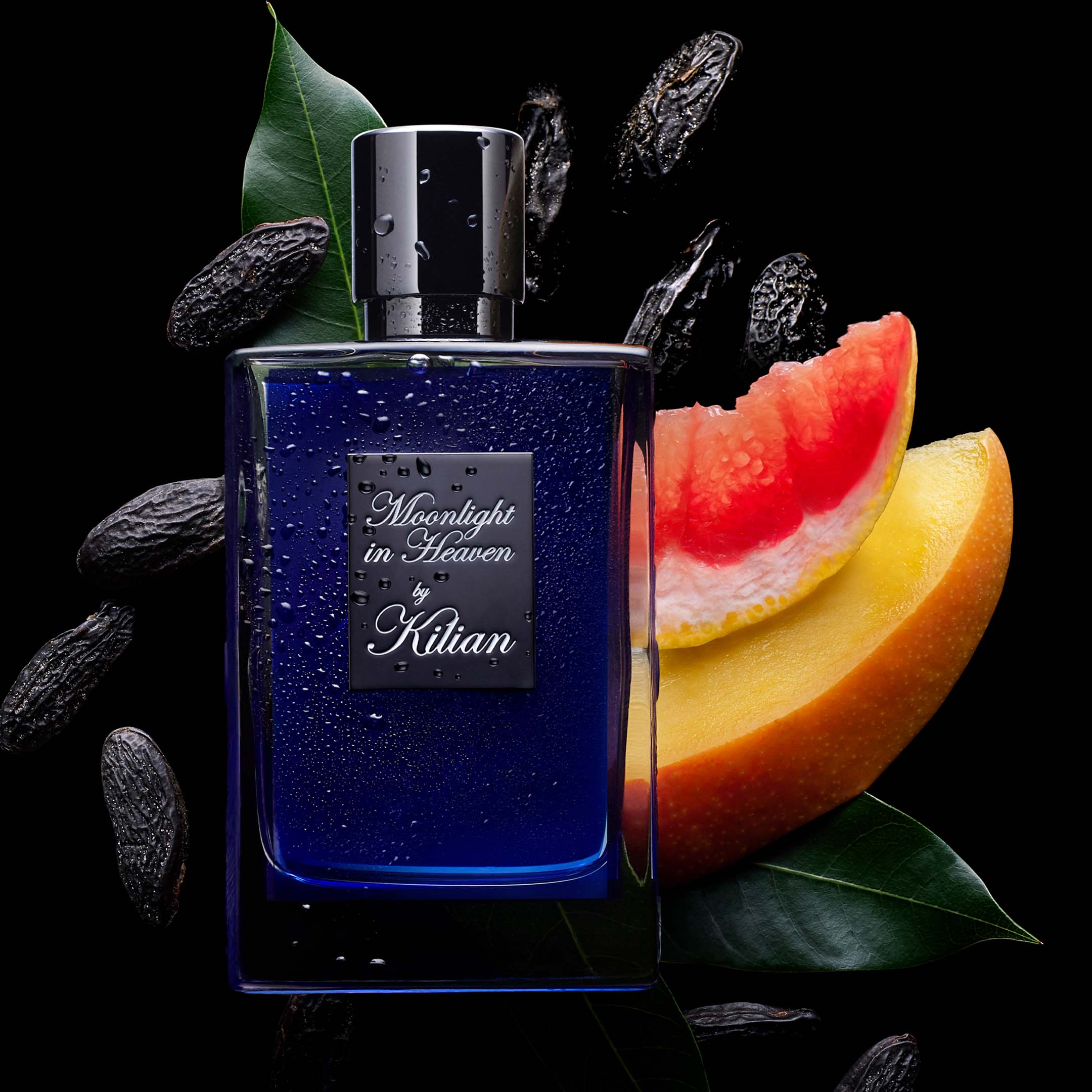Moonlight In Heaven - Image 5