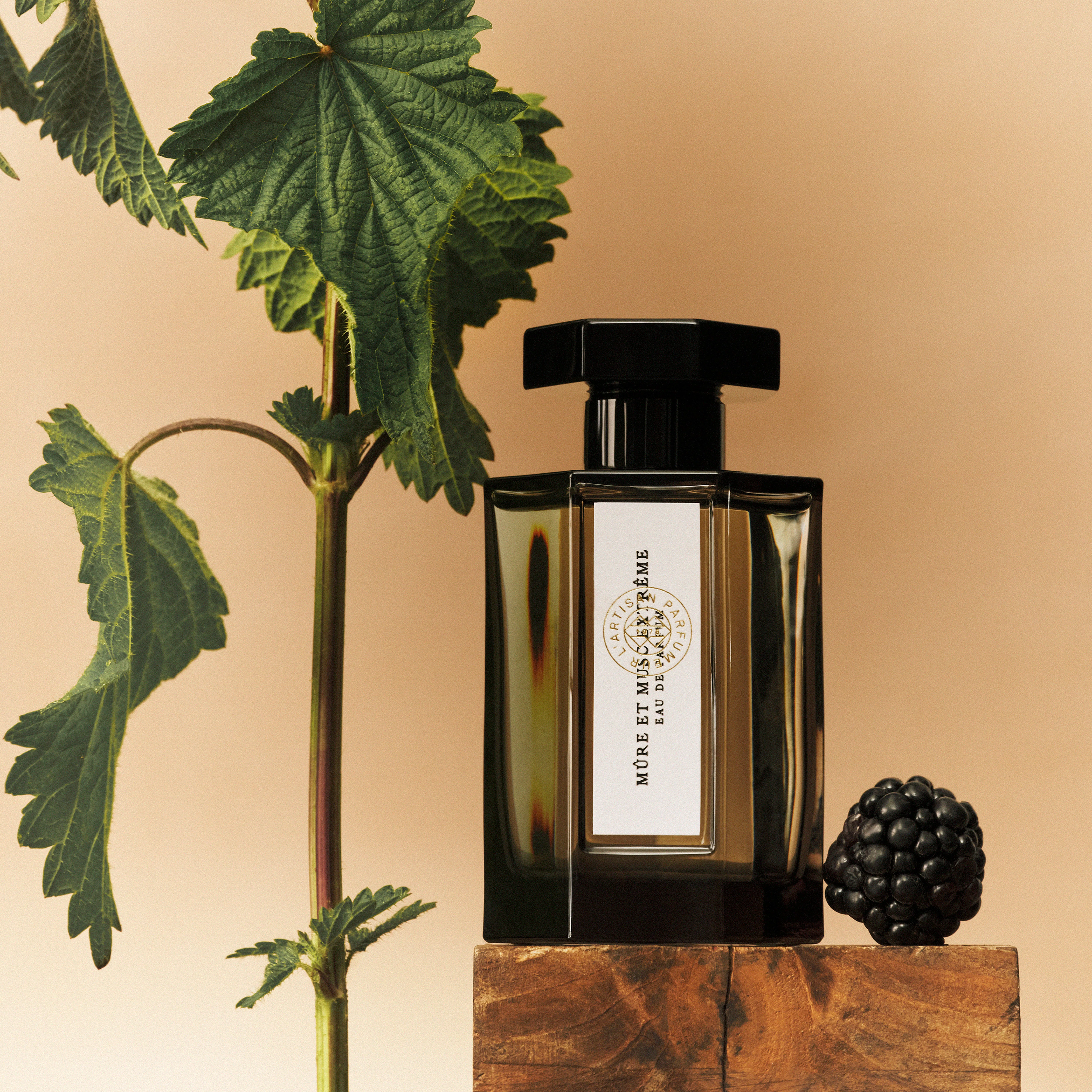 MĂ»re et Musc ExtrĂȘme Eau de Parfum - Image 3