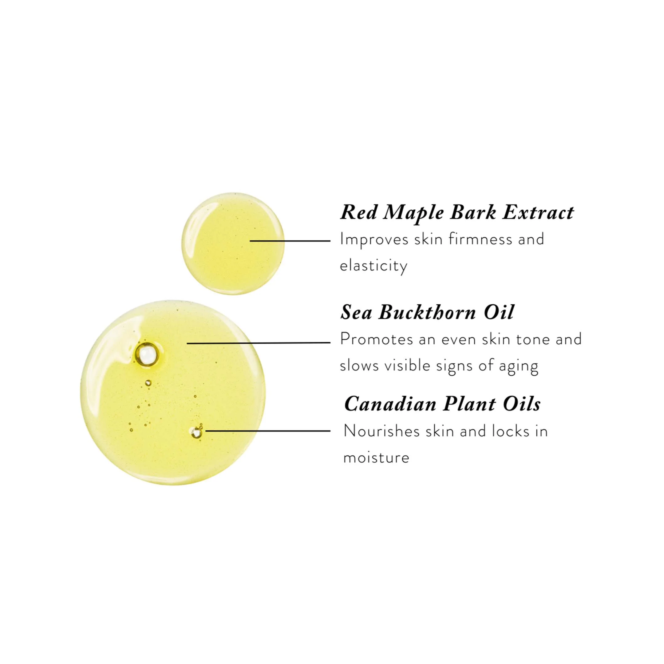 Northern Face Oil - Image 7