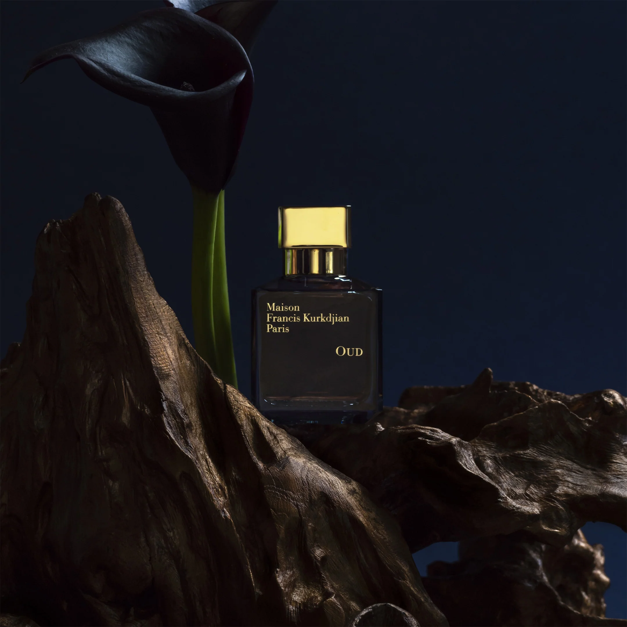 Oud  - Eau De Parfum - Image 4