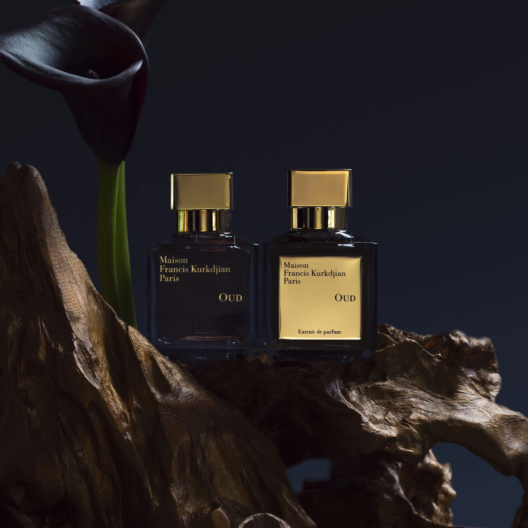 Oud - Extrait De Parfum - Image 5