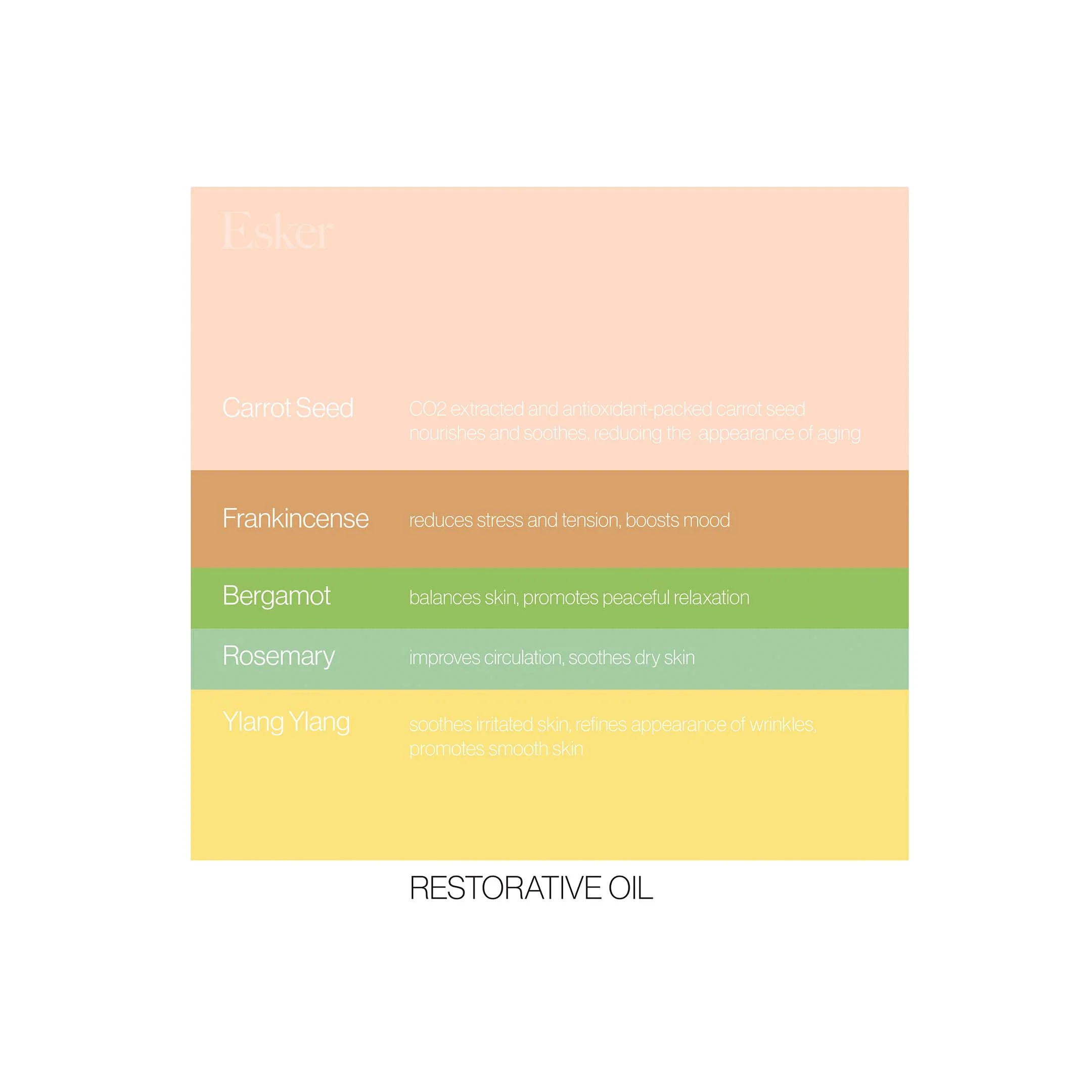 Restorative Body Oil - Image 3