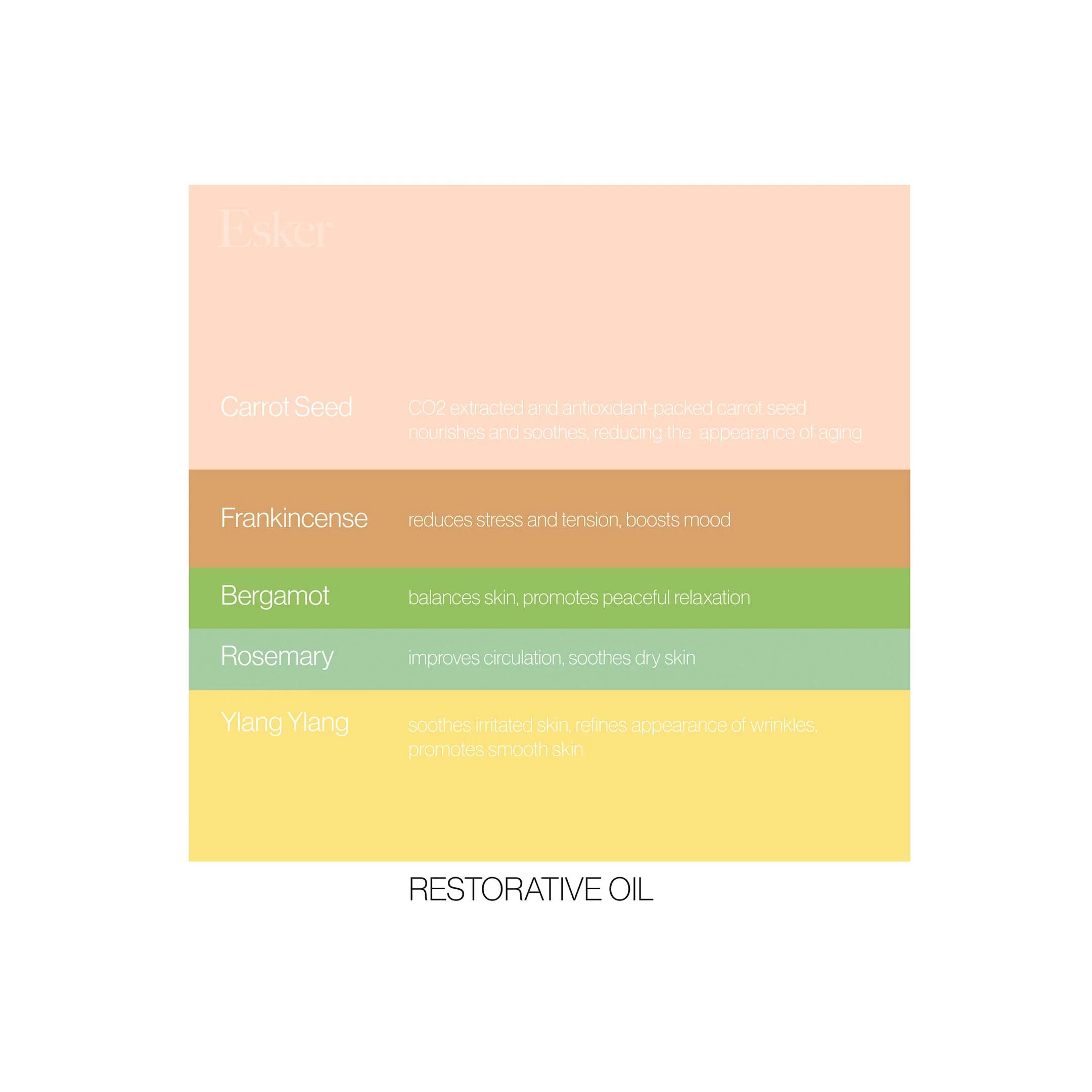 Restorative Body Oil - Image 3
