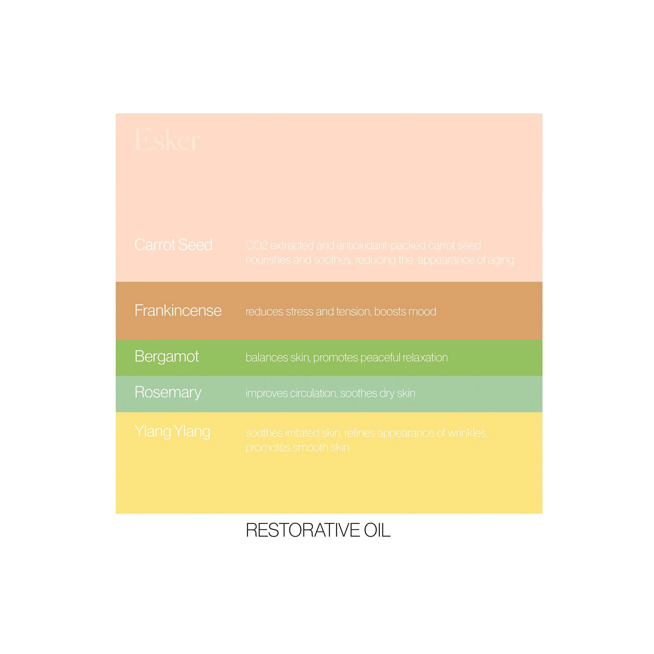 Restorative Body Wash - Image 3