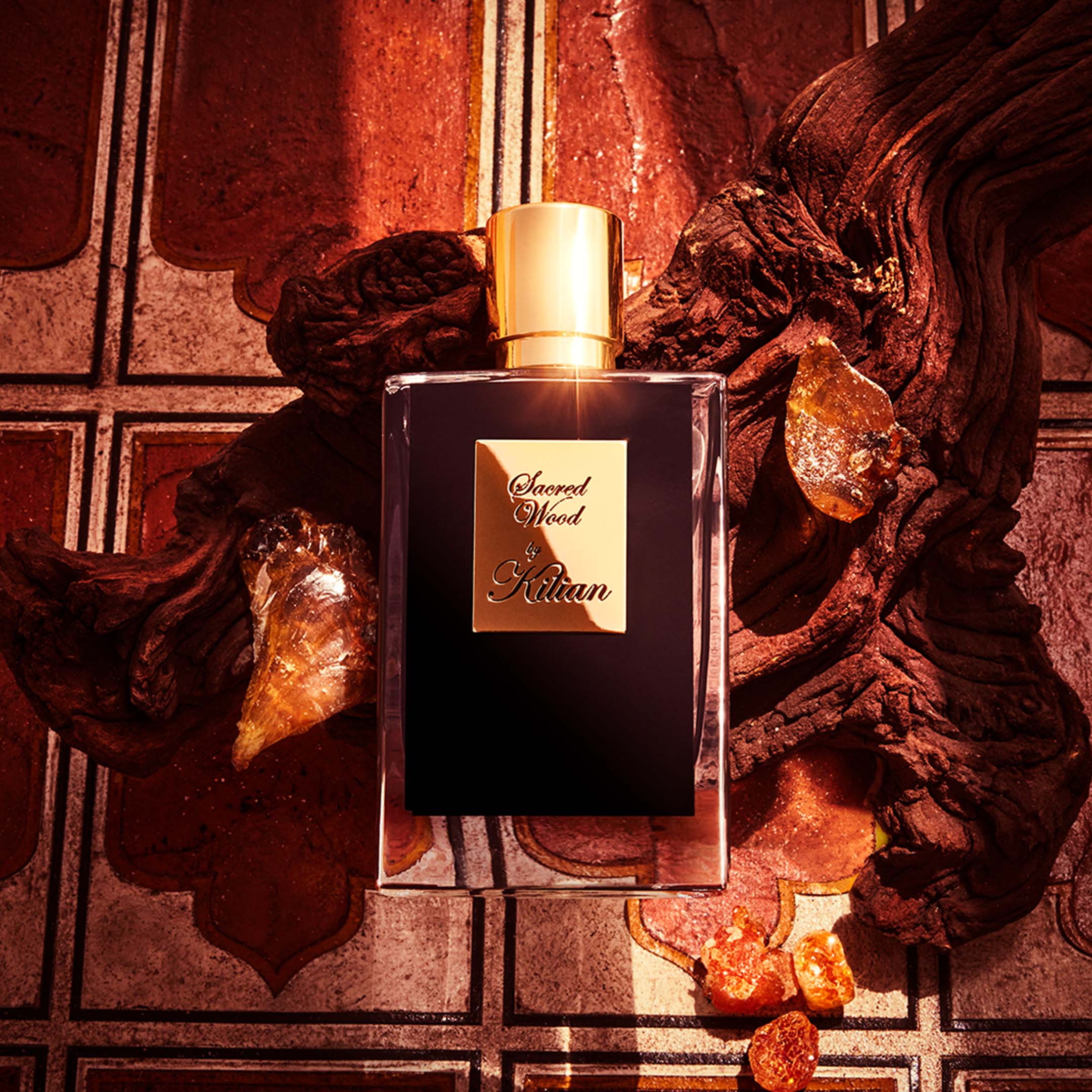 Sacred Wood - Image 4