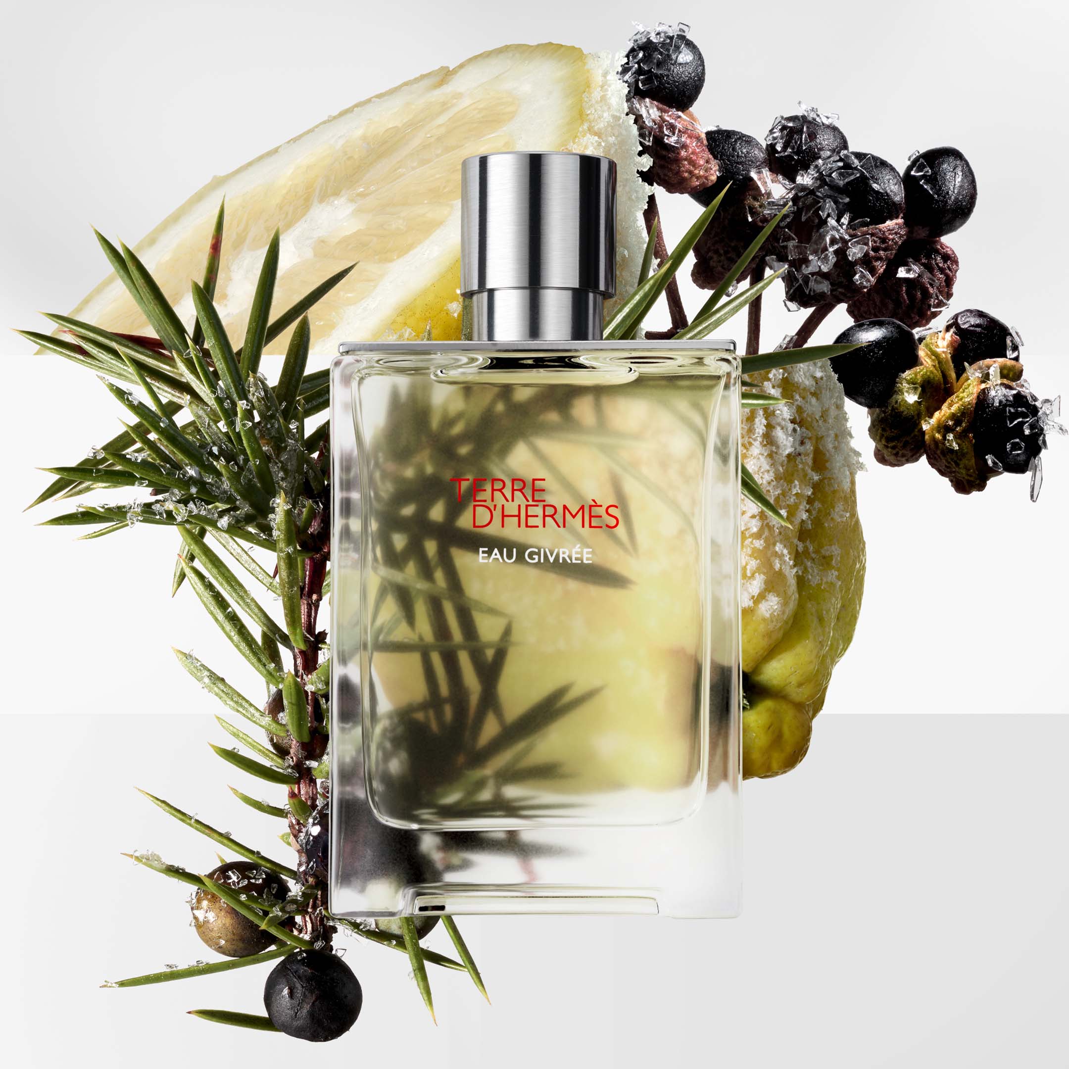 Terre D'Hermes Eau Givree Eau De Parfum Natural Spray 175Ml - Image 4